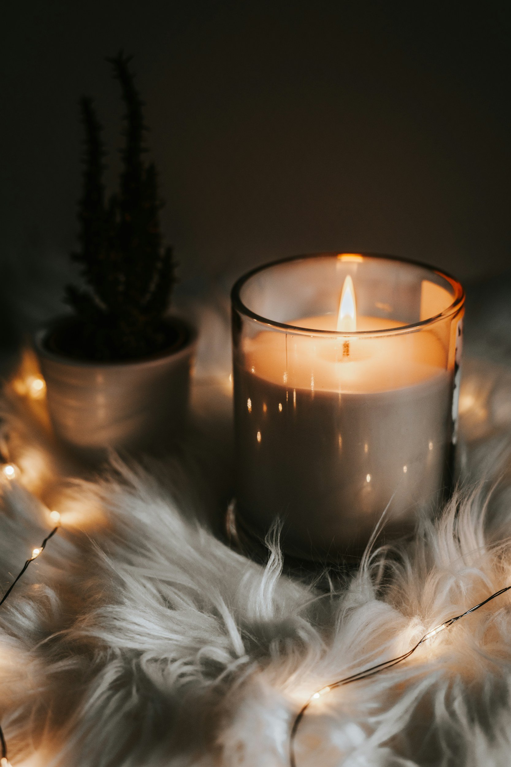 A lit candle in a glass holder, a small potted plant, and fairy lights on a fluffy white surface.