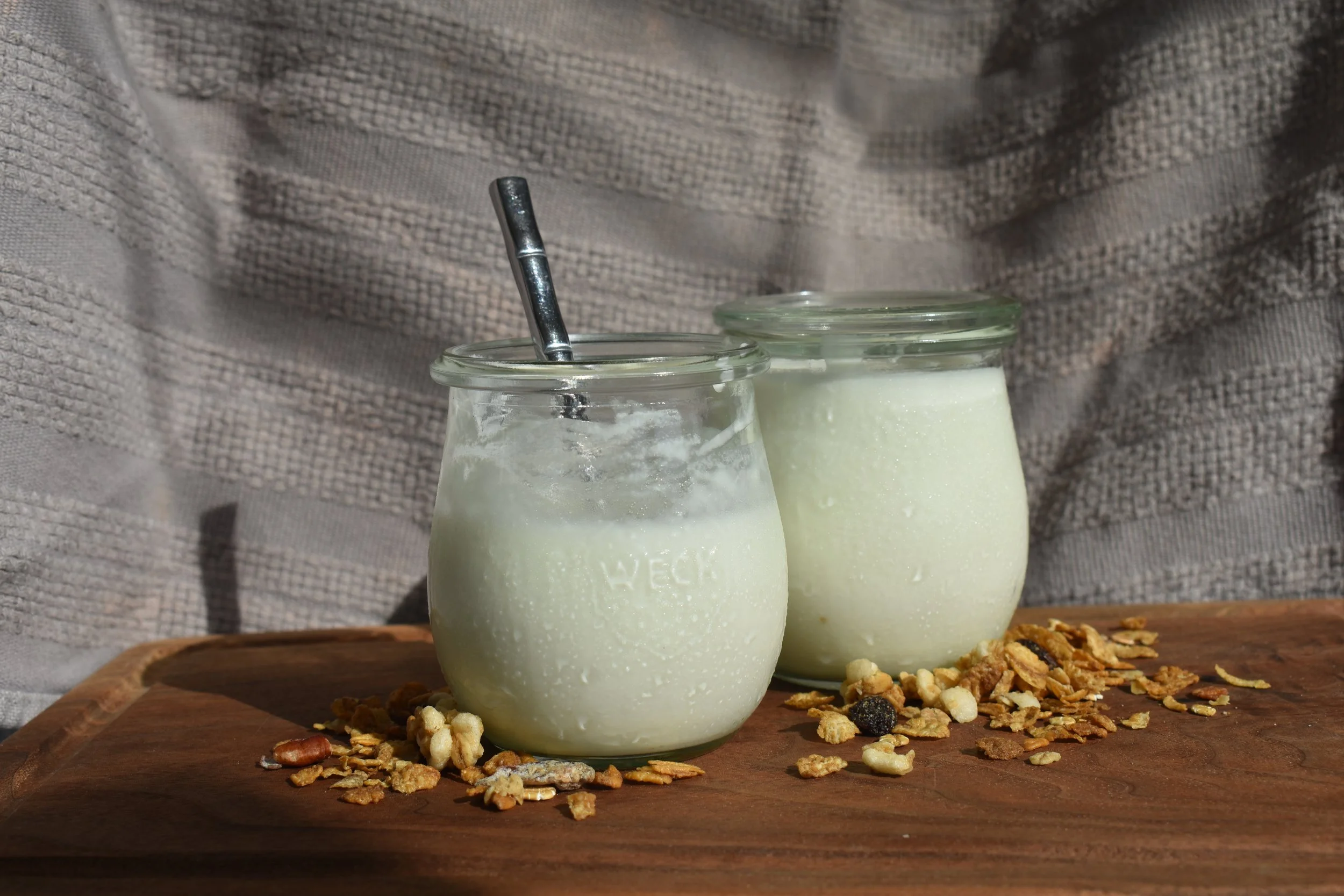 Yogurt Making