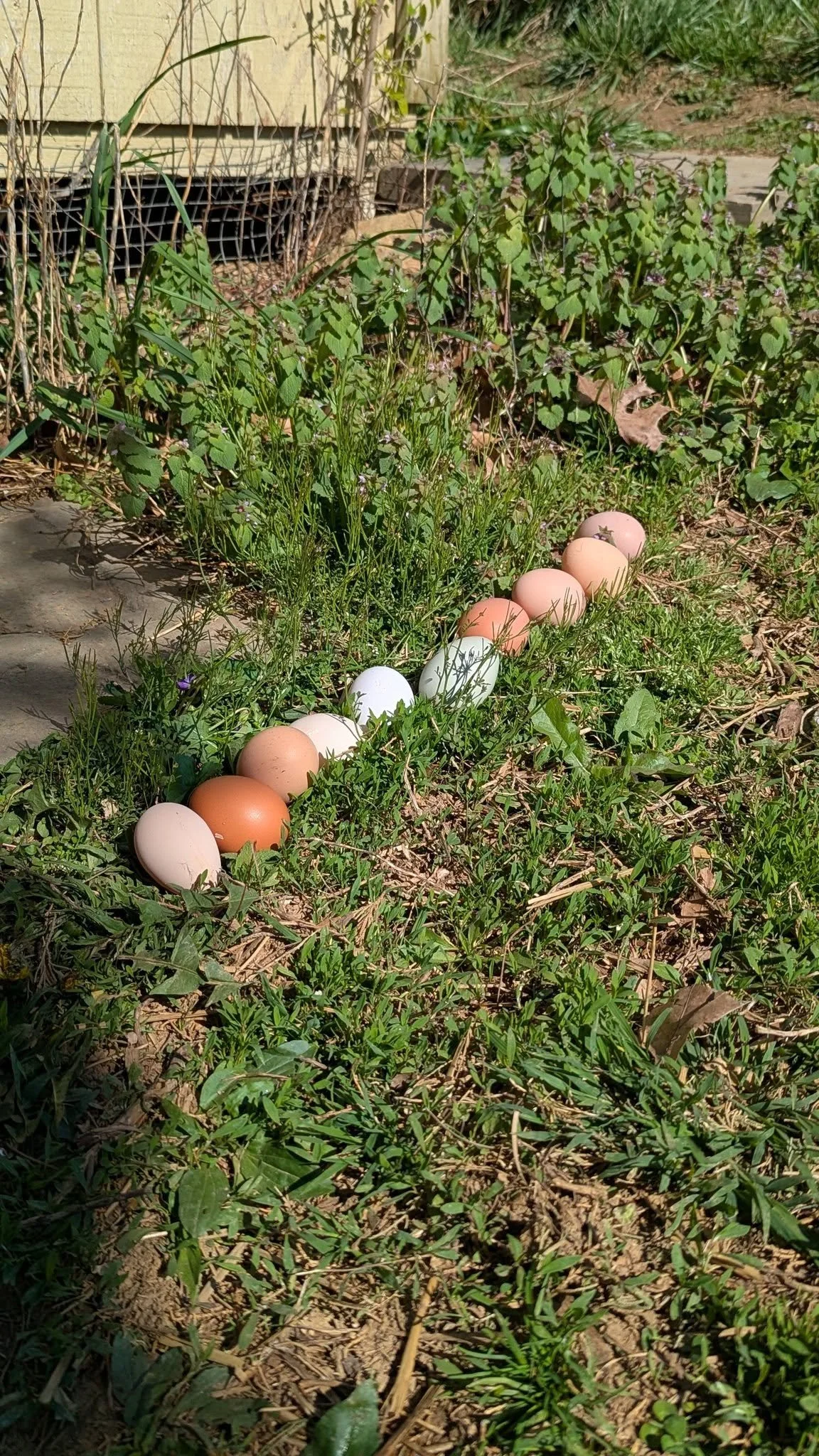 729047433_122129877099198196_5854577566810462457_n.jpg