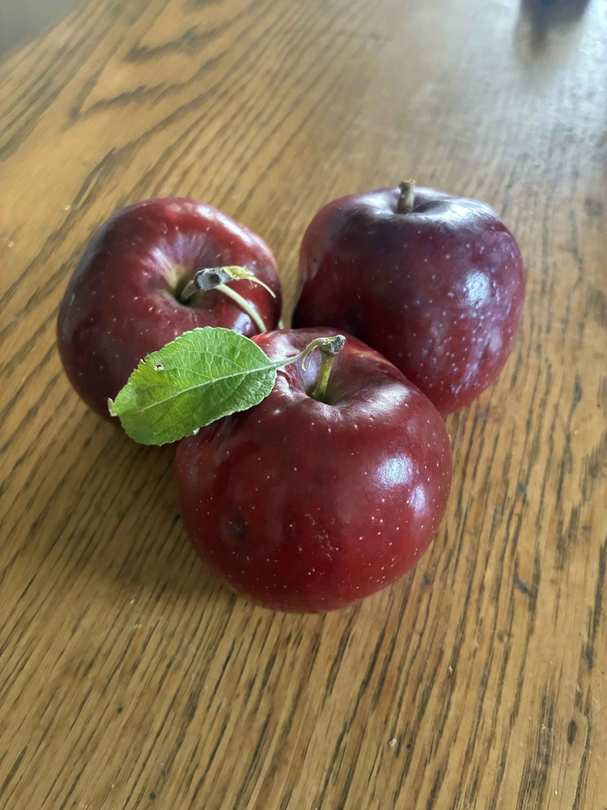 Homegrown Nutrition 101