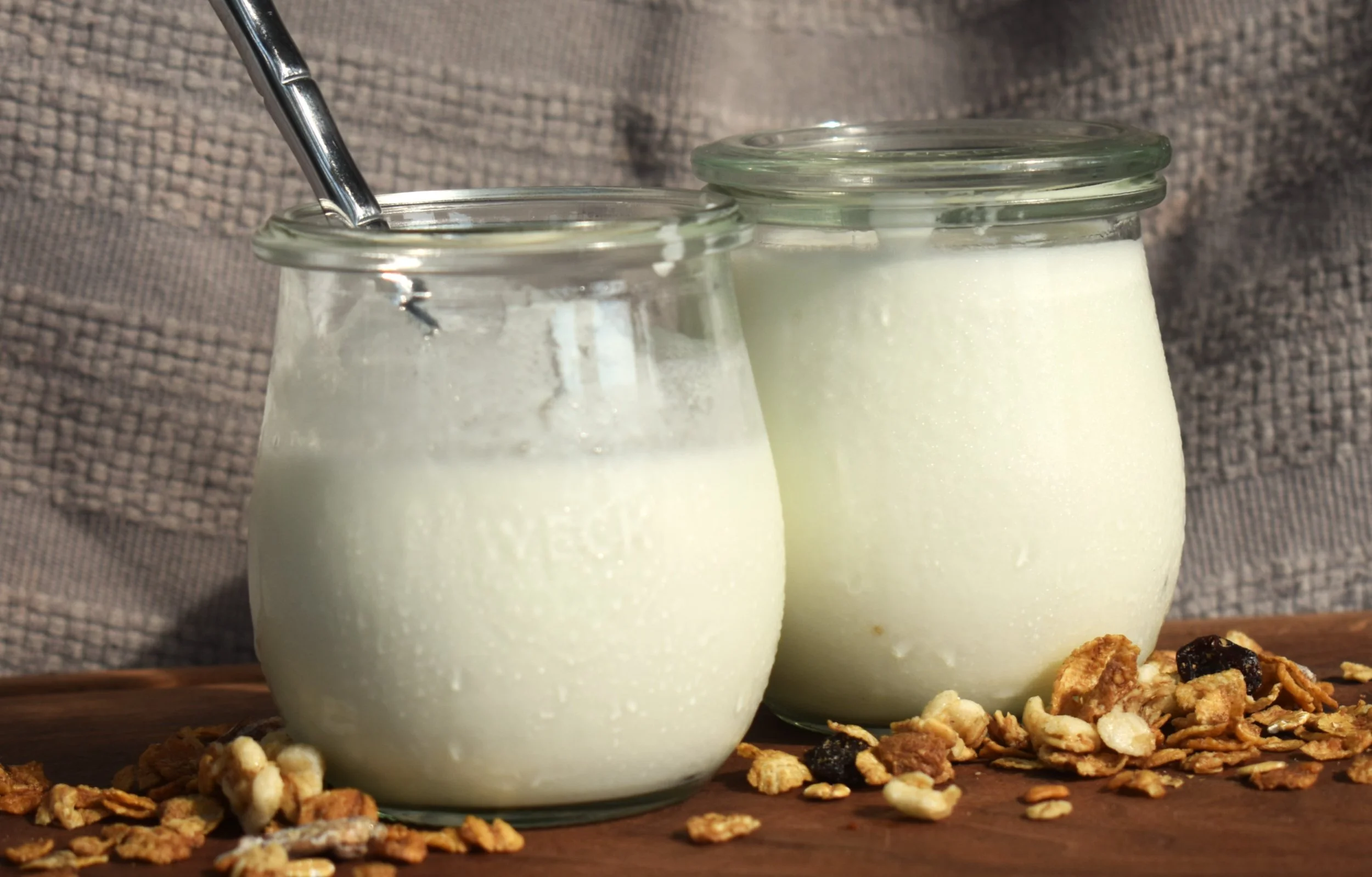 Yogurt.JPG