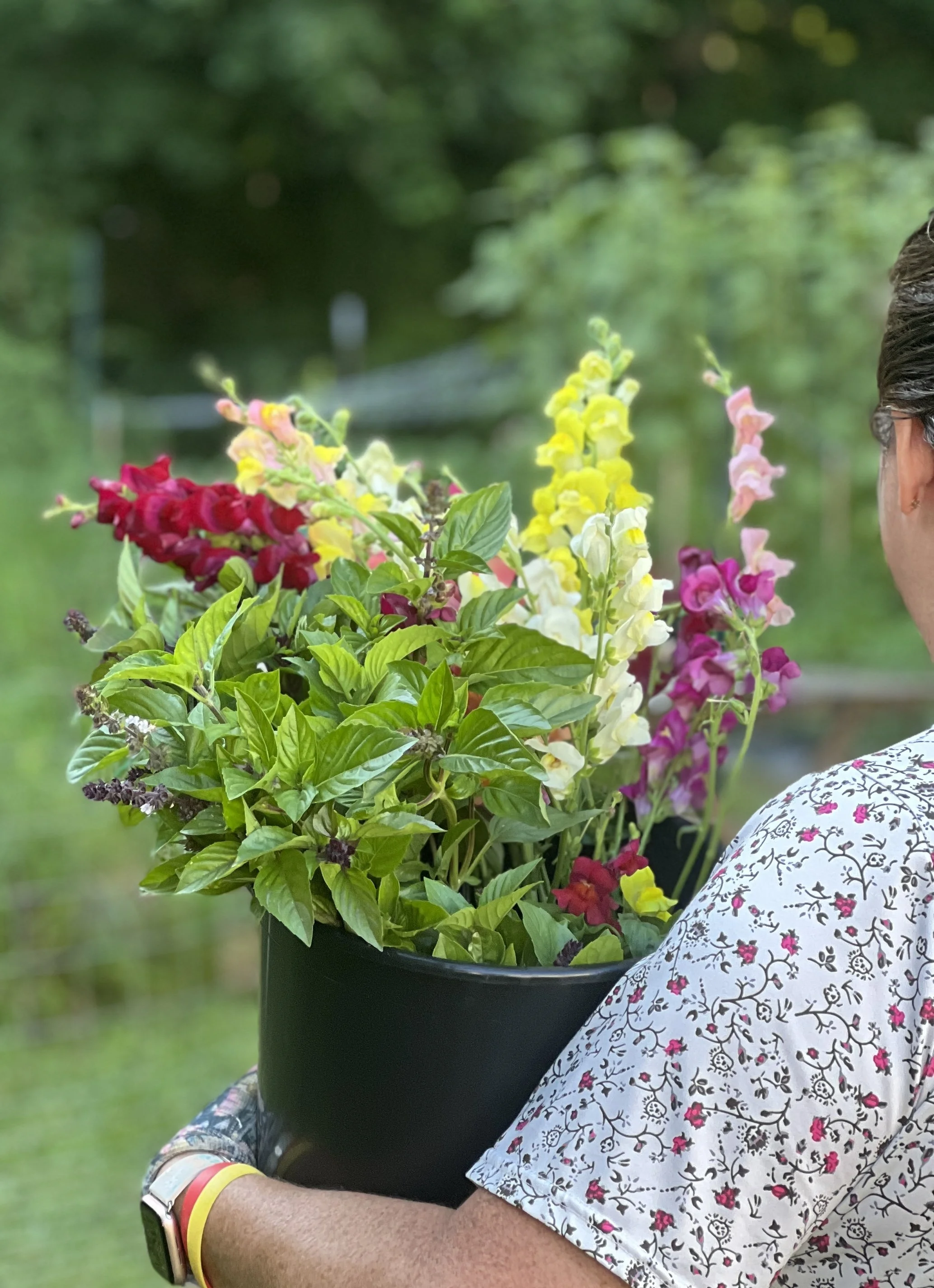 A person holding a black pot with colorful flowering plants in an outdoor setting with green trees in the background.