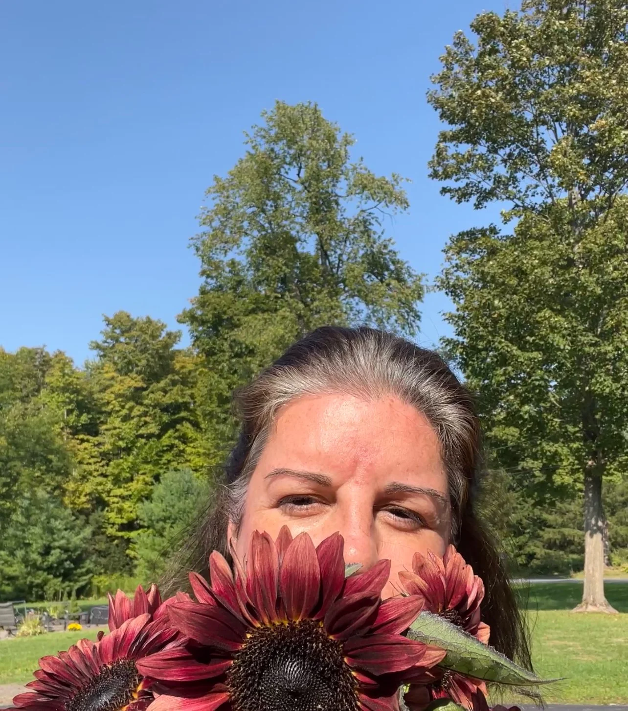 A woman holding a bouquet of sunflowers in front of her face, outdoors with trees and a clear blue sky in the background.