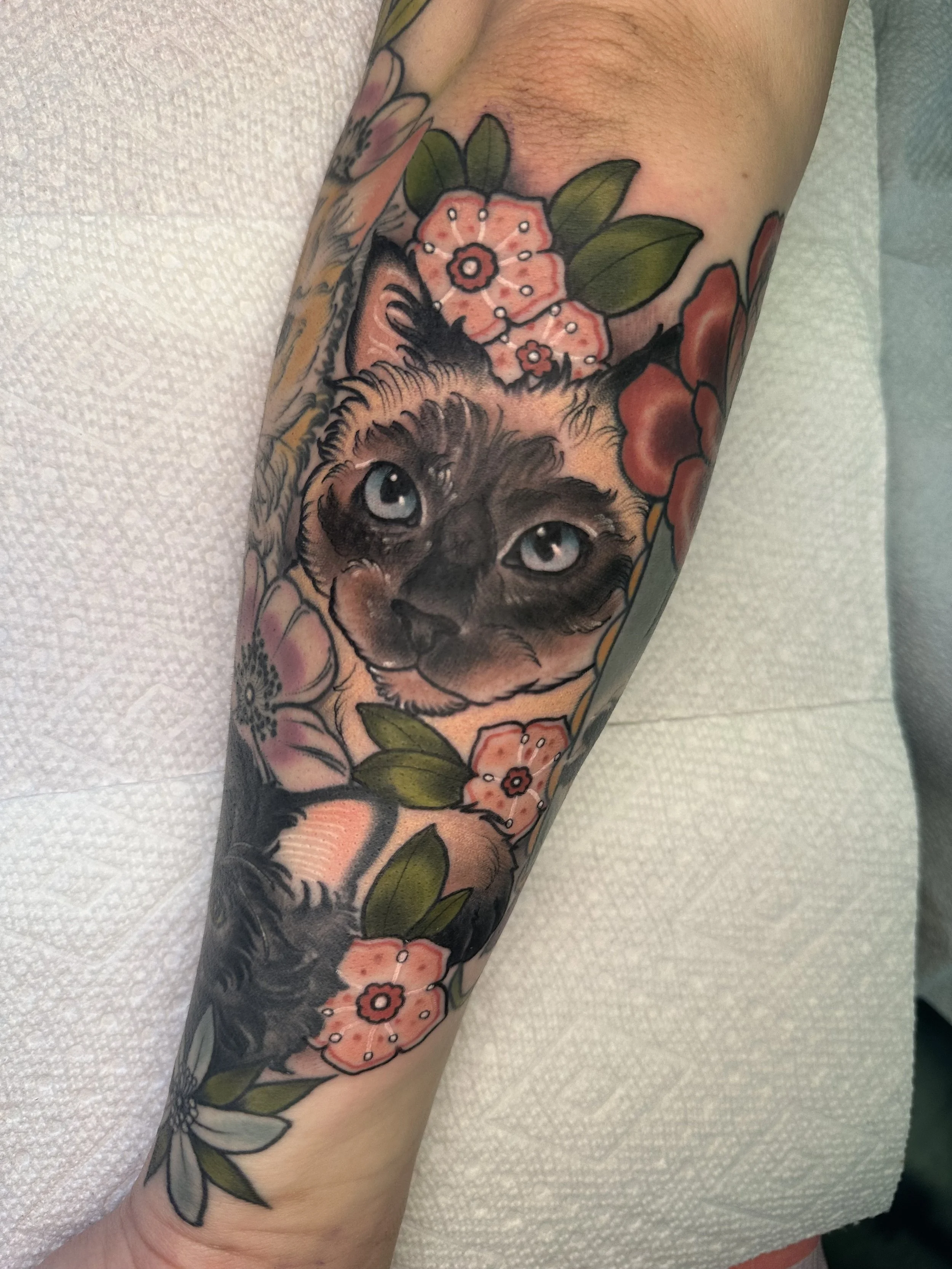 IMG_4752.jpeg