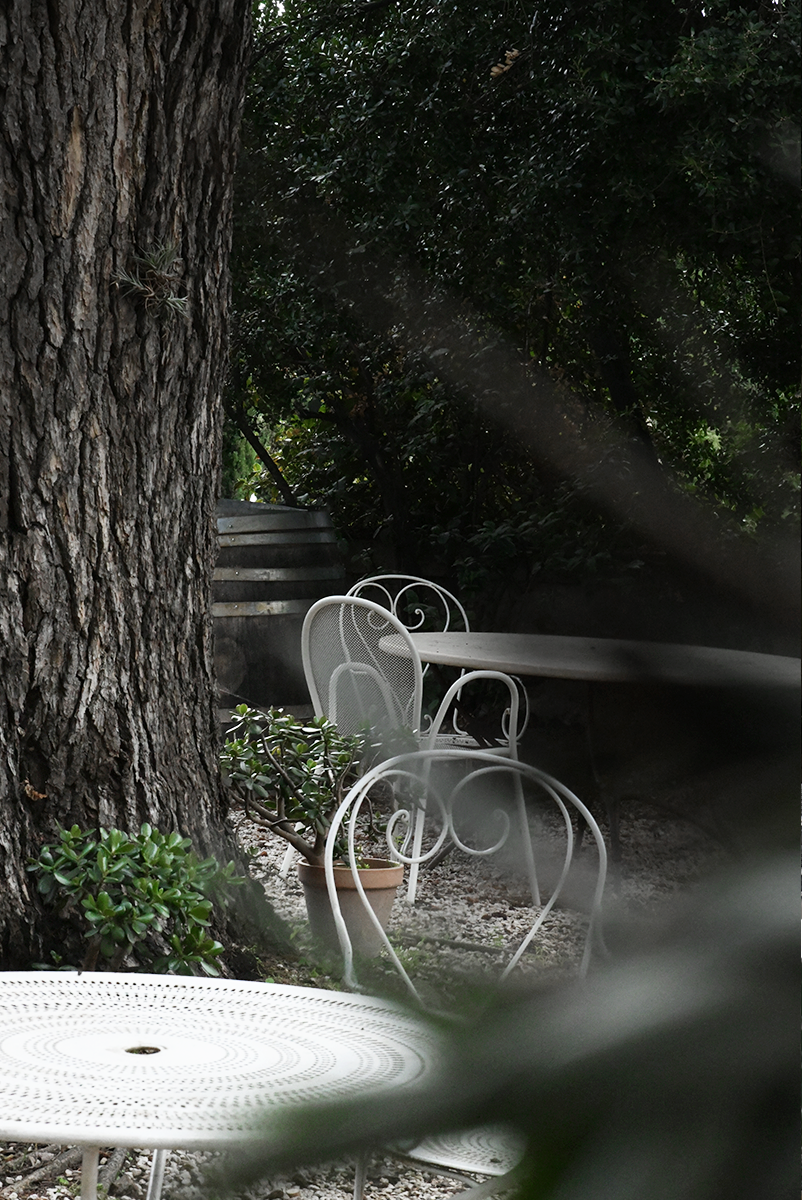 Une table en fer blanc, une chaise et un pot avec une plante dans un jardin ombragé près d'un grand arbre.