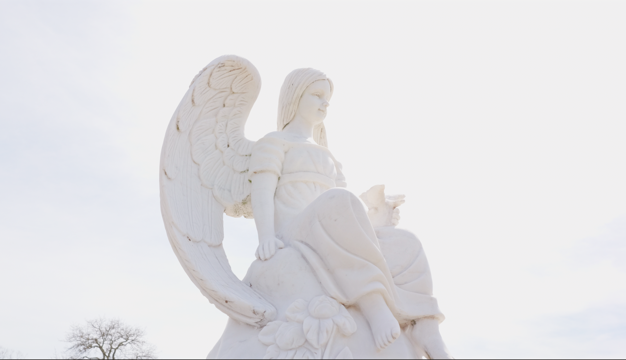 1,000 Families Commercial