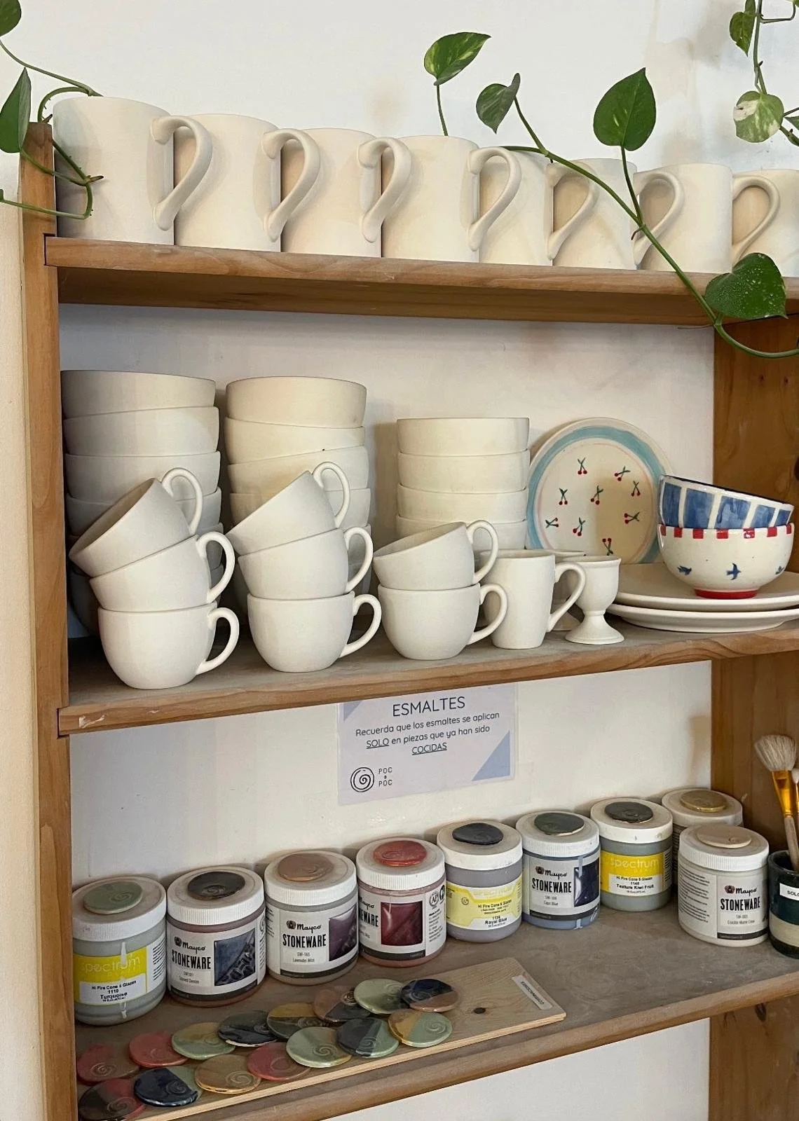 WhatsApp Image 2026-04-03 at 08.07.11.jpeg