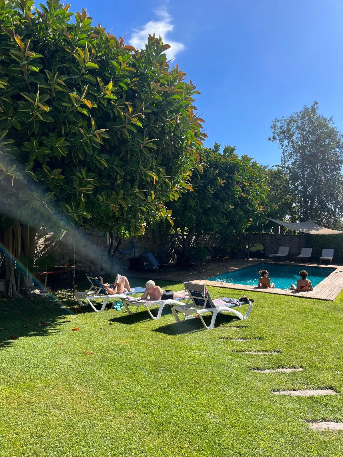 WhatsApp Image 2025-11-11 at 16.24.08.jpeg