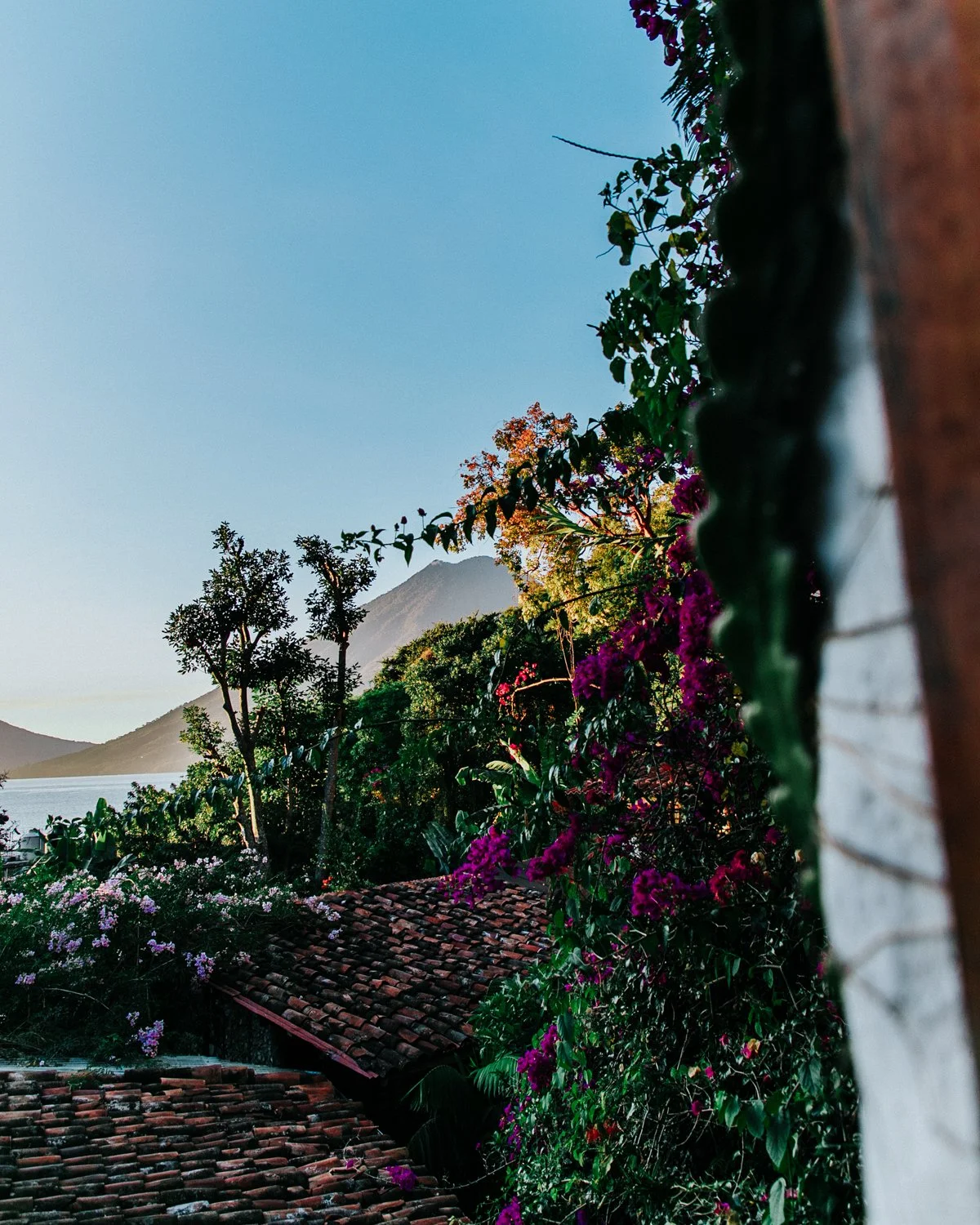 Lush Atitlan tropical landscape viewed through an open window