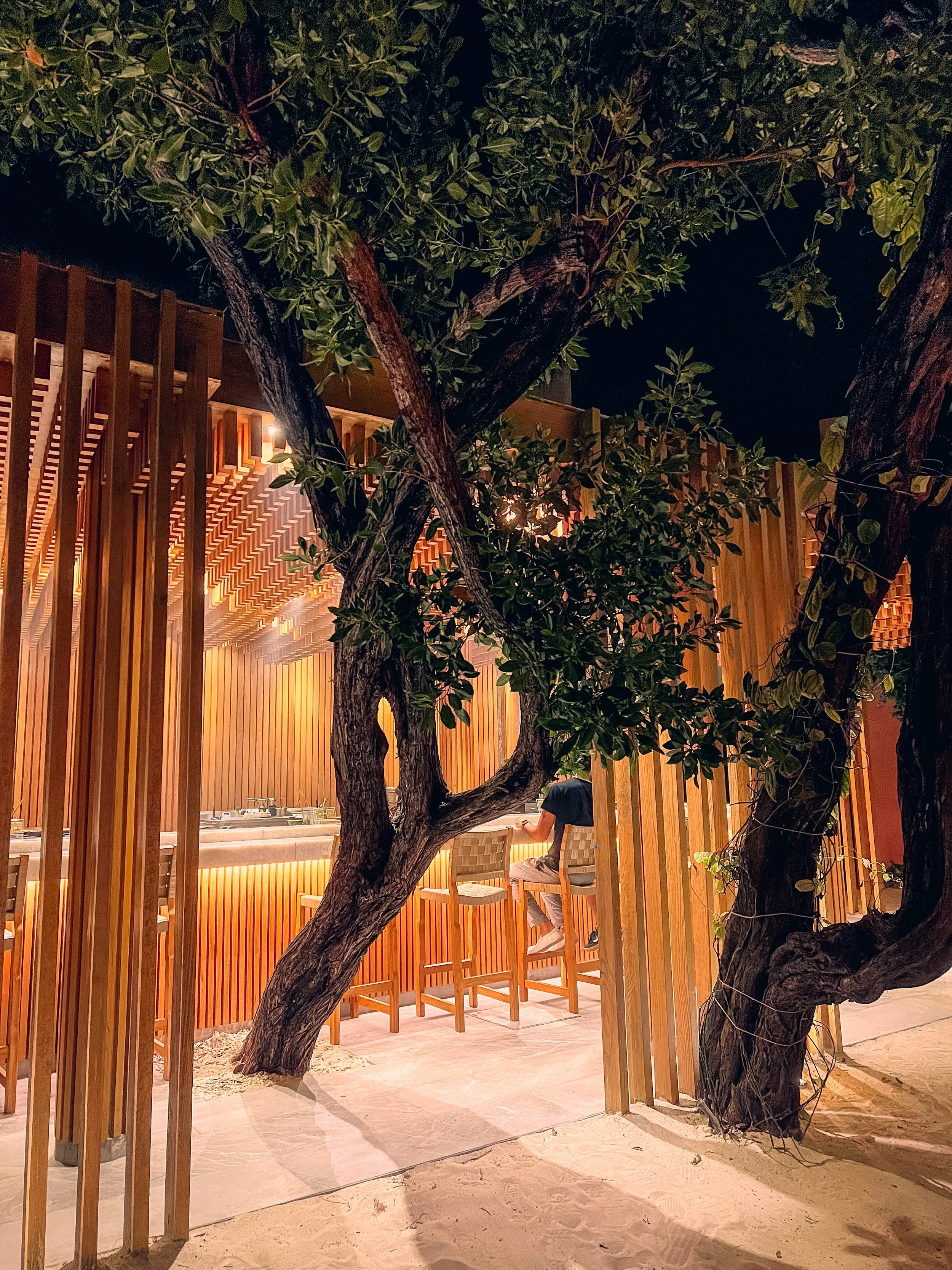 Culinary Highlights and Where to Eat in Tulum&nbsp;
