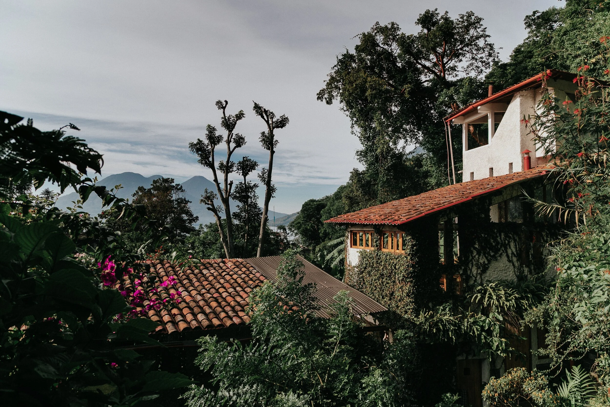 Lush Atitlan Hotel tropical landscape viewed through an open window