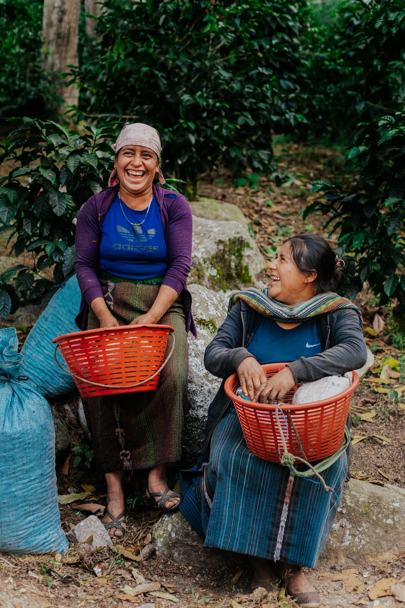 Kiva social impact and microfinance storytelling