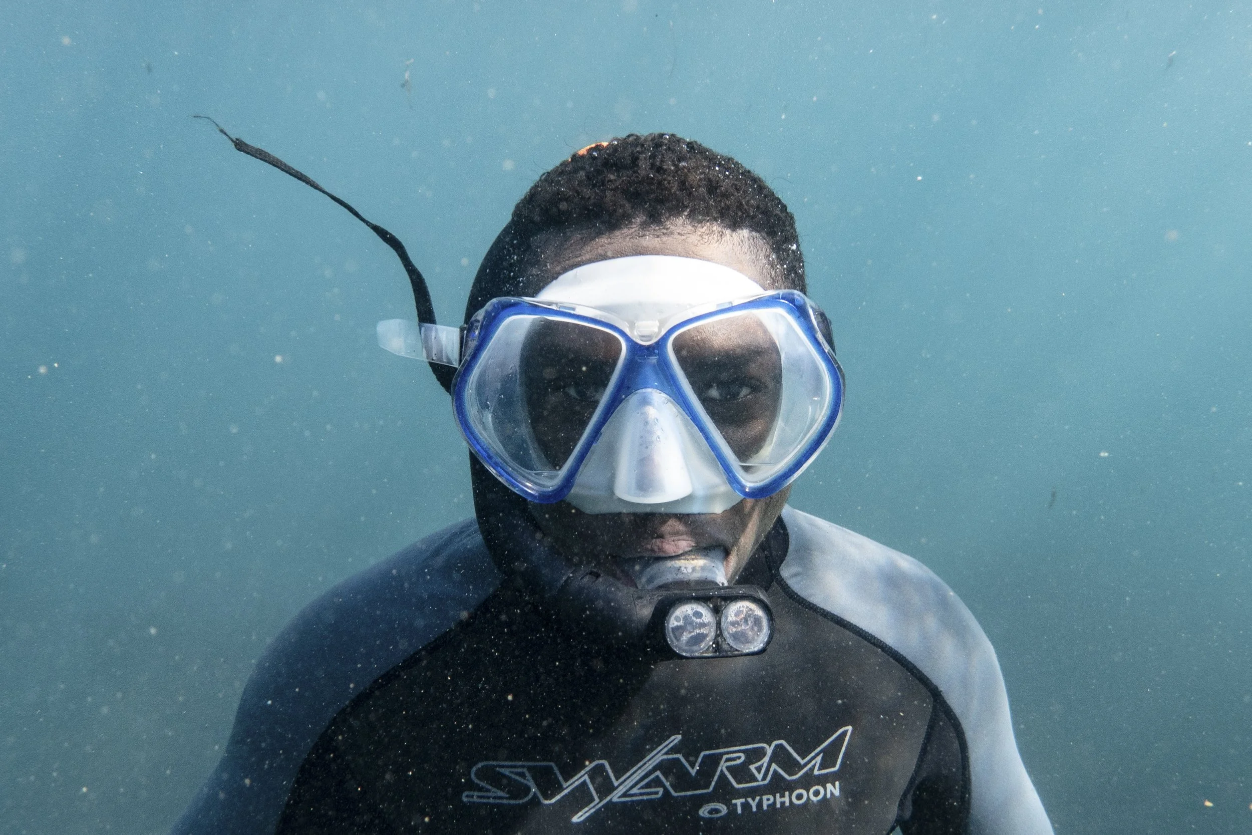 Guardians of the Barren Isles