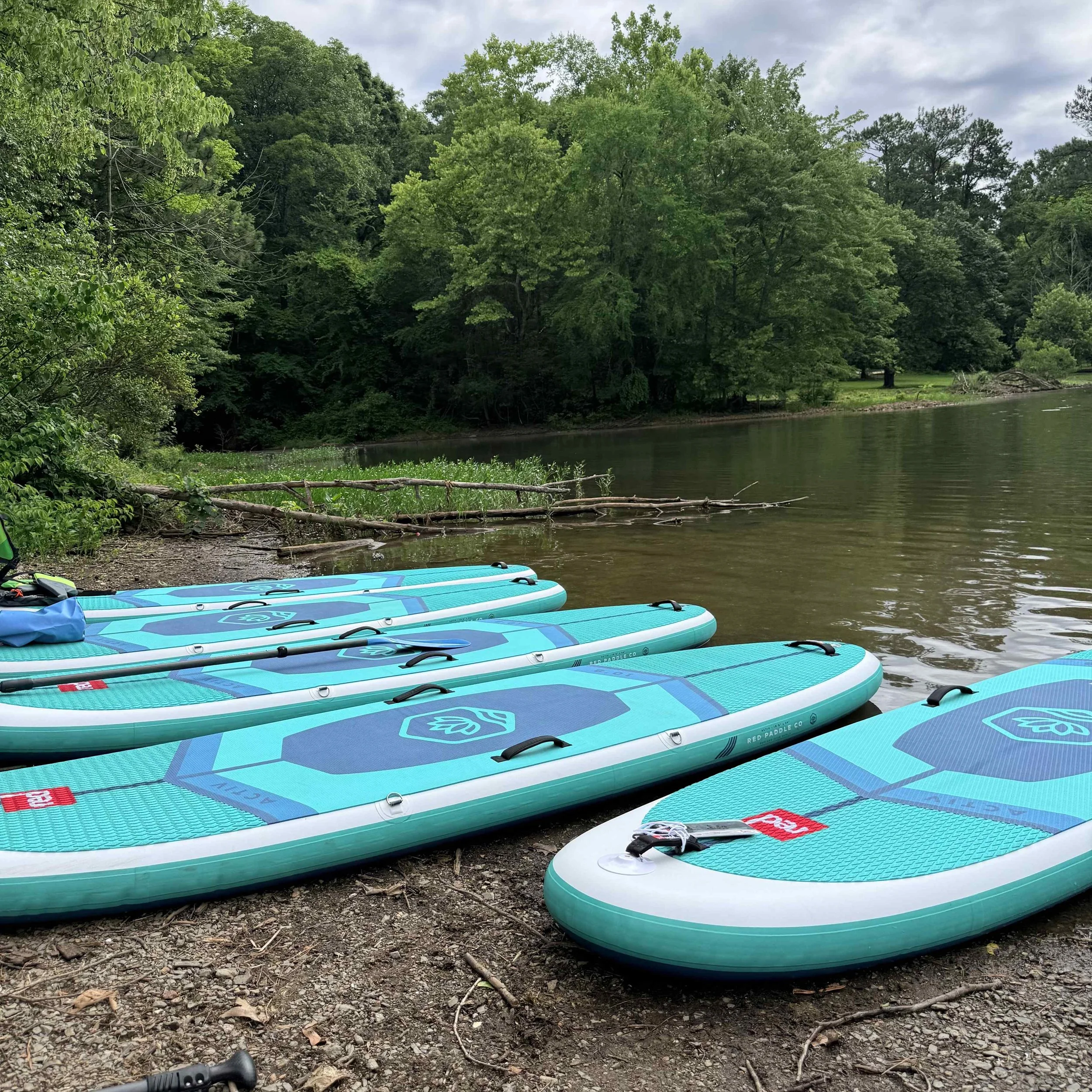 Zephyr paddleboards lined up at the Duke Access Road boat ramp