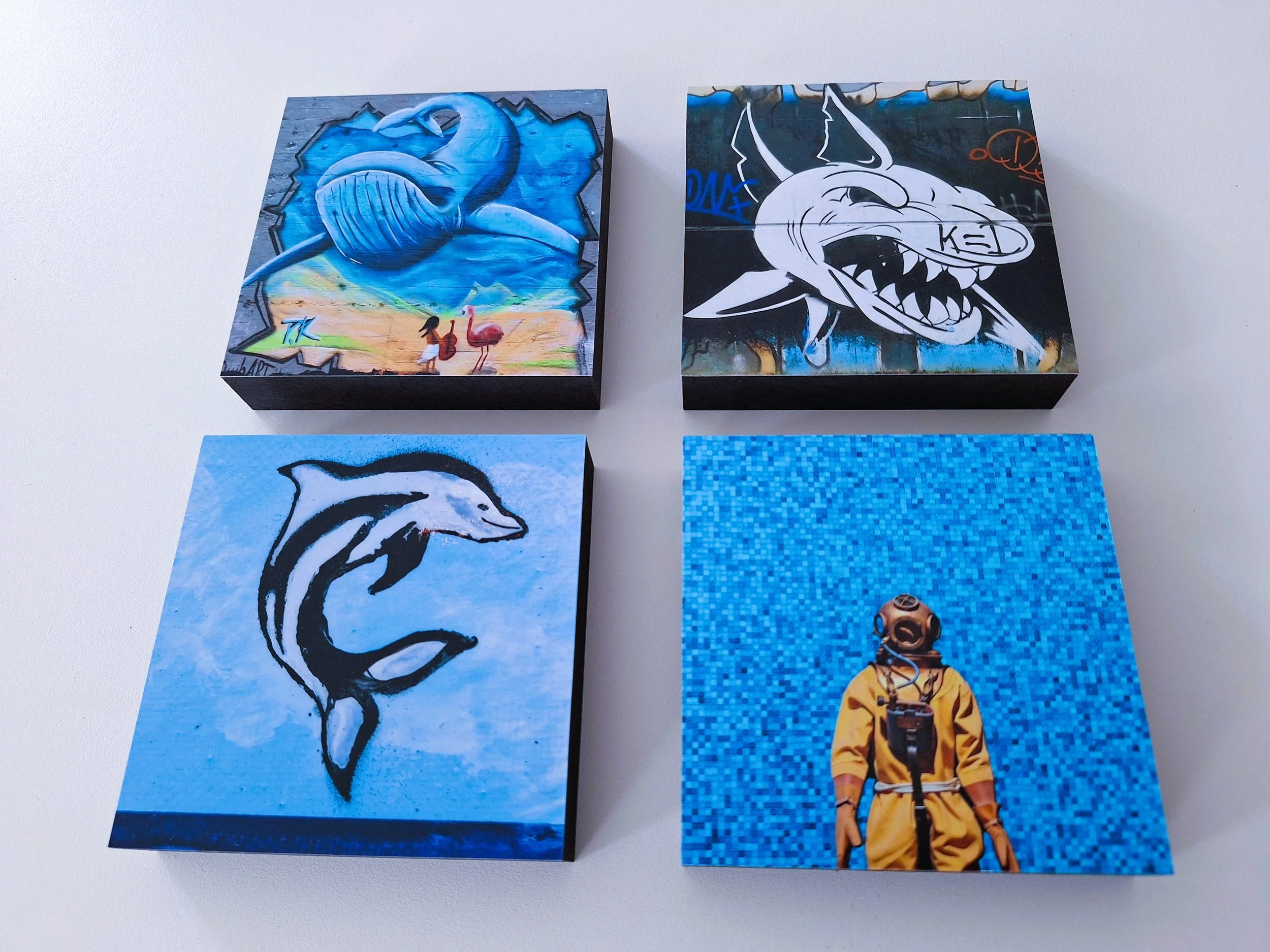 Motive Fische Taucher