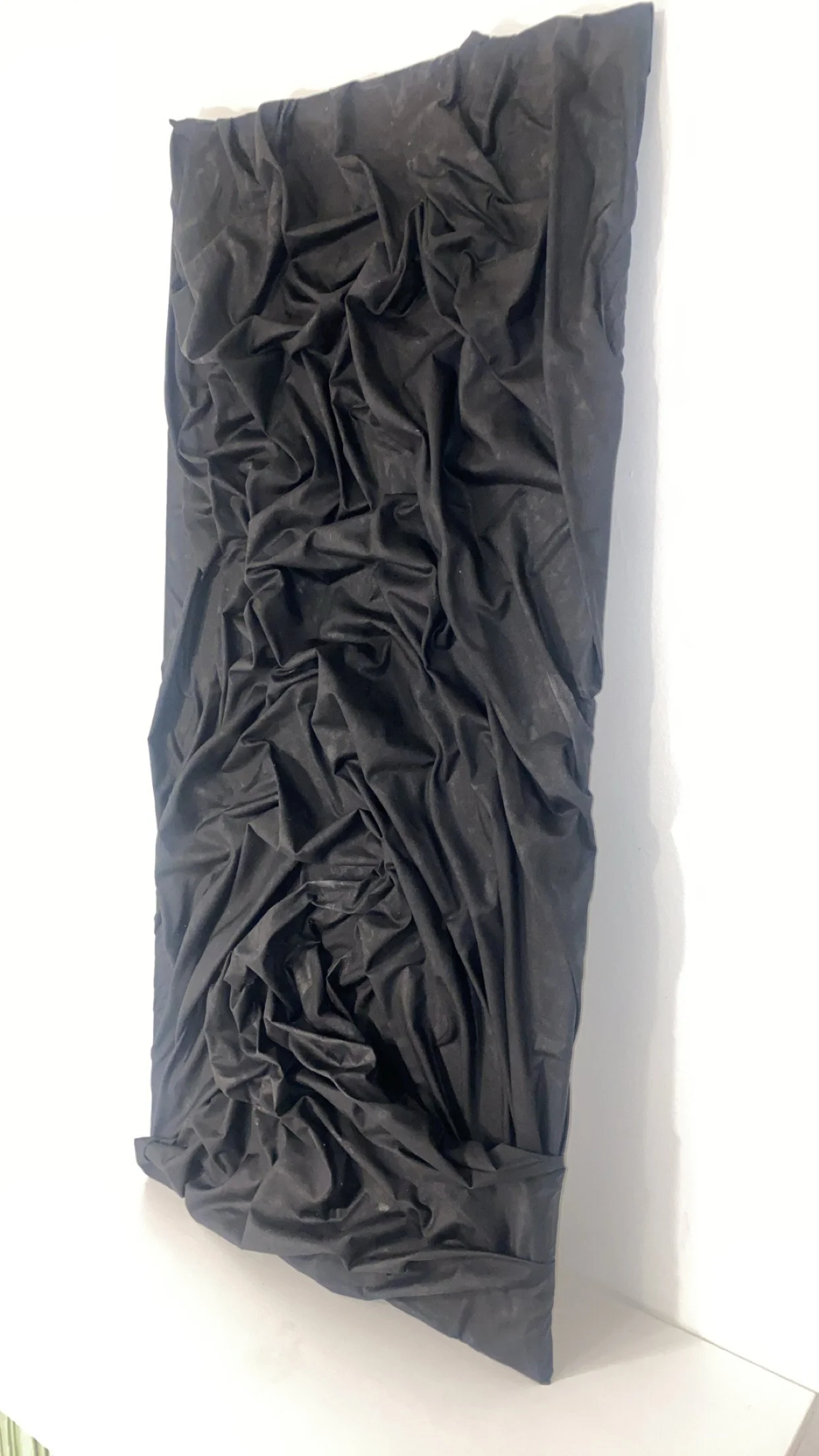 Black rose