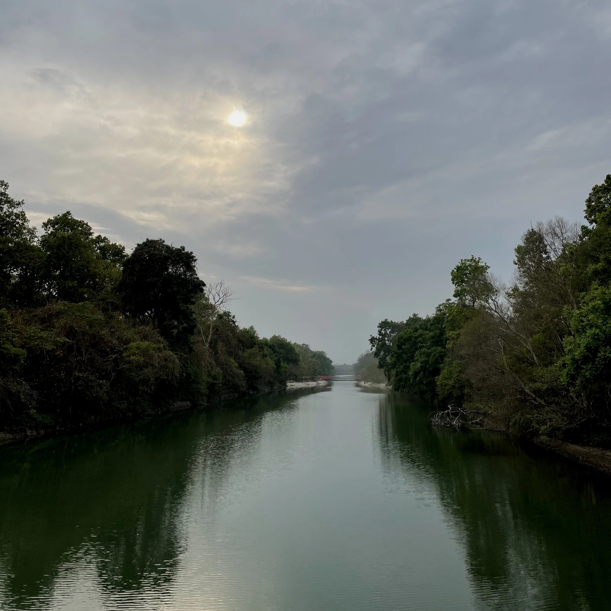 A river flowing through a forested area under an overcast sky with the sun partially visible through clouds.
