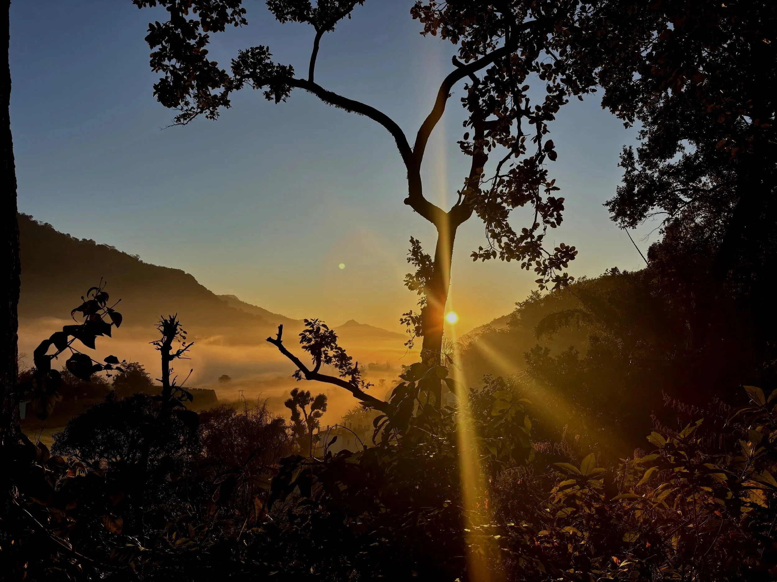 Sunrise through trees in a mountainous landscape with mist in the valley.