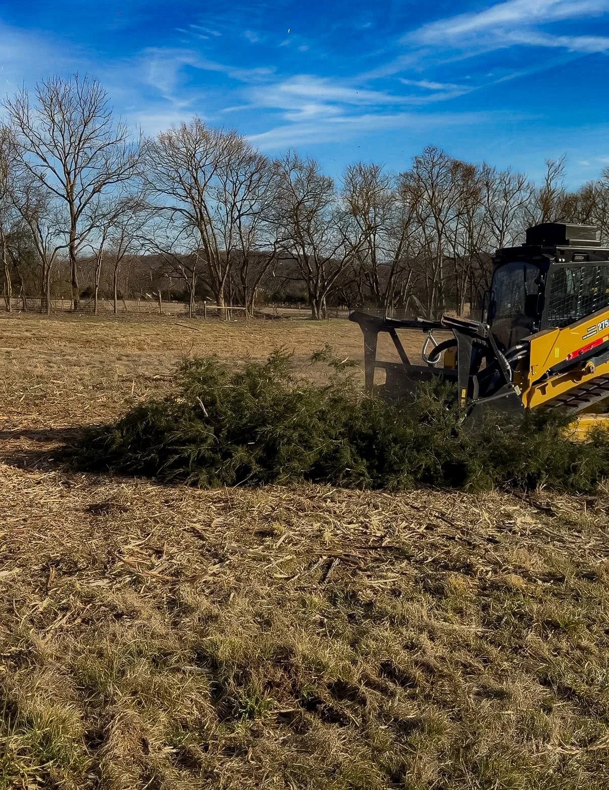 A small yellow and black bulldozer clearing a patch of land with fallen tree branches and debris, under a blue sky with wispy clouds and leafless trees in the background.
