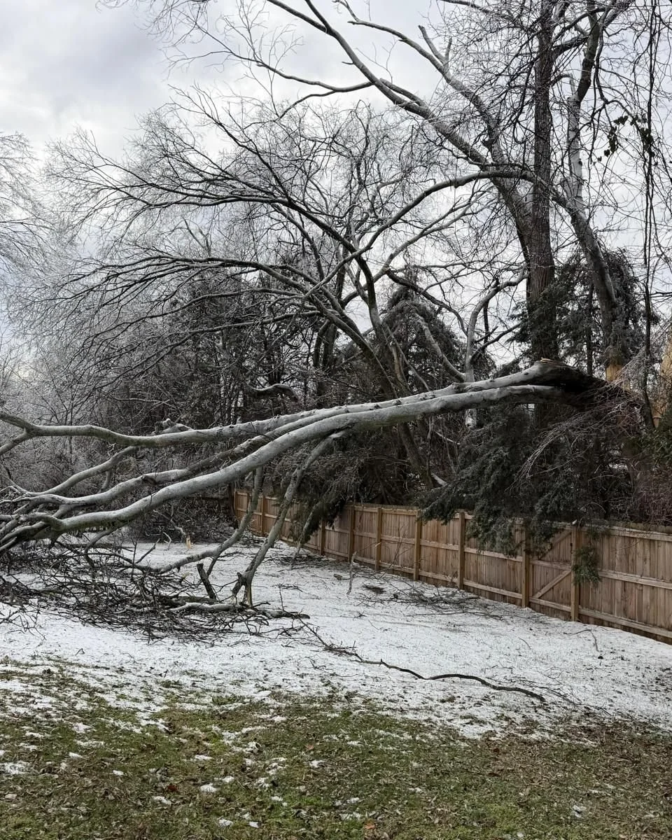 Groundhogs dig for fun.
We dig to get things moving again.

 Thinking of everyone across Tennessee still dealing with outages and storm damage.

Enjoy some before and after pics of our job today. 

#winterstorm #tennessee #winterstormfern