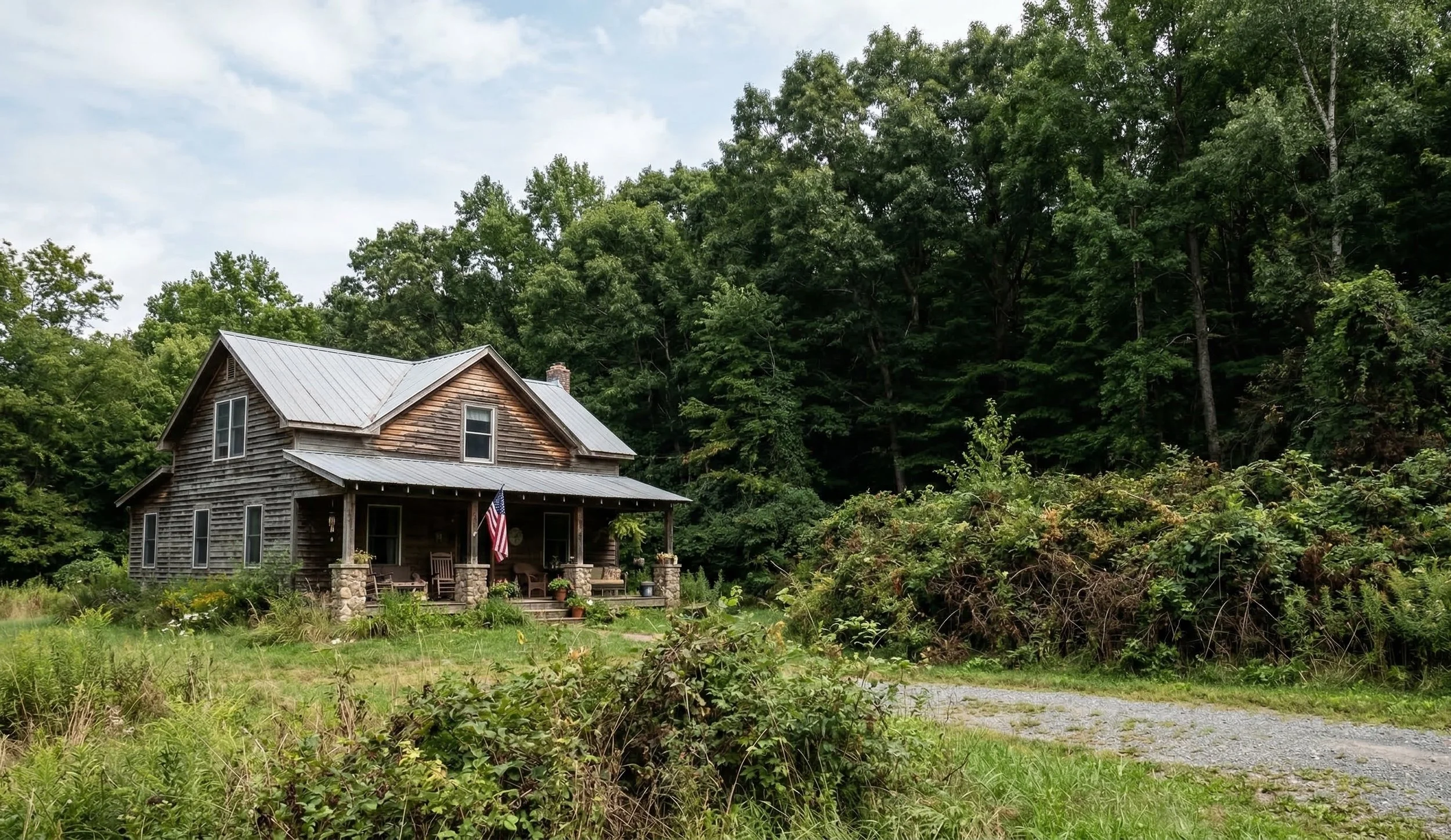 Brush Removal in Middle Tennessee: How It Improves Property Safety and Land Usability