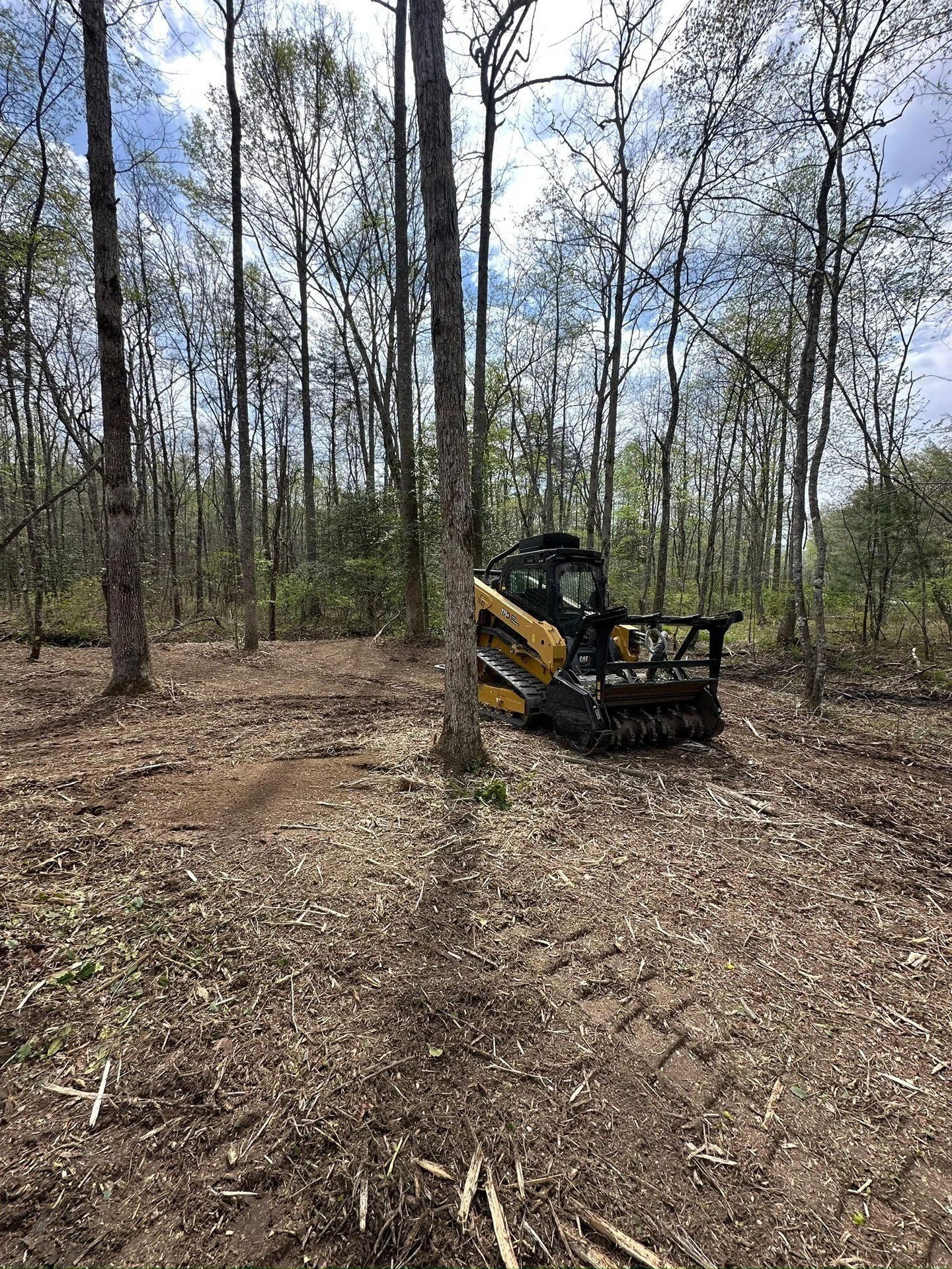 Clearing the underbrush and leaving the good trees standing. Cleaner woods, walkable ground, no clear-cut.