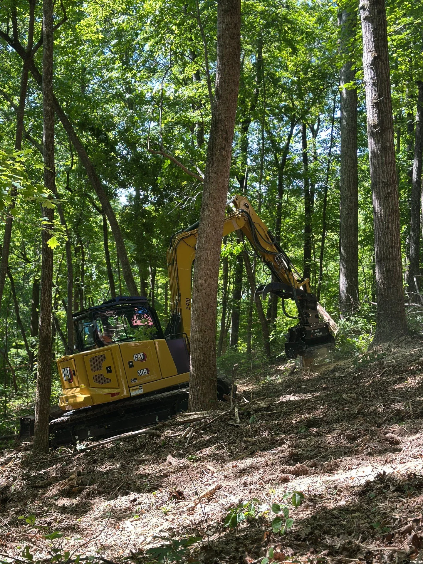 Pegram, TN. Owner needs the lot cleared to build. 309 with the mulcher head, mature hardwood ahead.