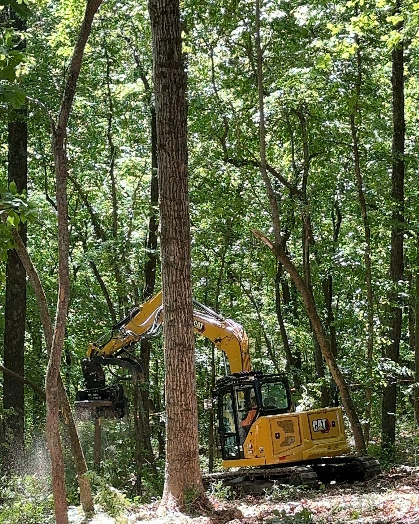 309 head into hardwood. Chips off the drum, lot getting wider every pass.