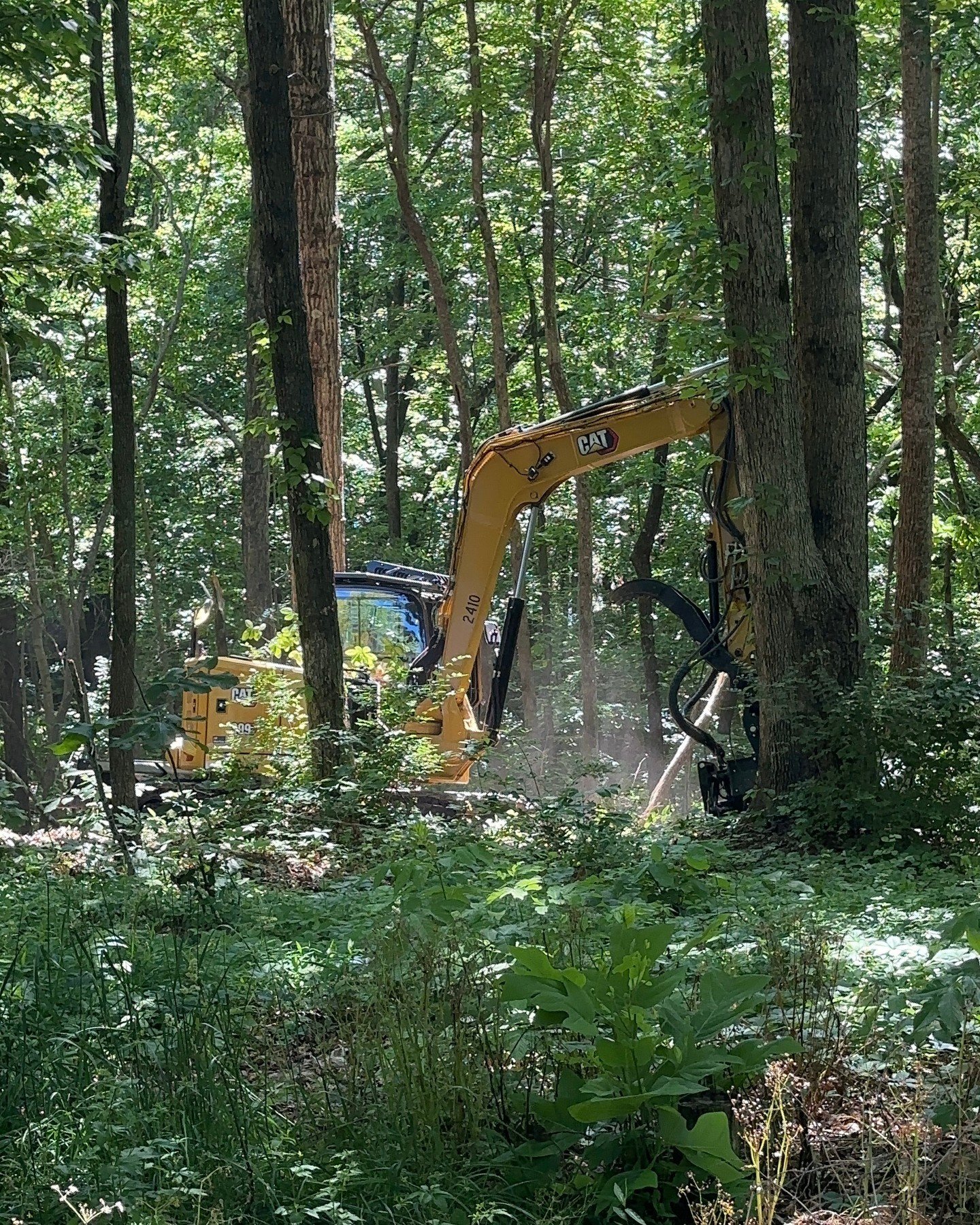 Middle Tennessee hardwood thinning out. Every pass gets the lot closer to a build pad.