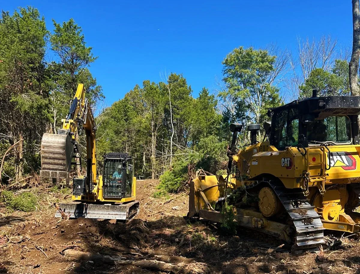 Two yellow construction machines working on clearing a wooded area, with trees and a bright blue sky in the background.