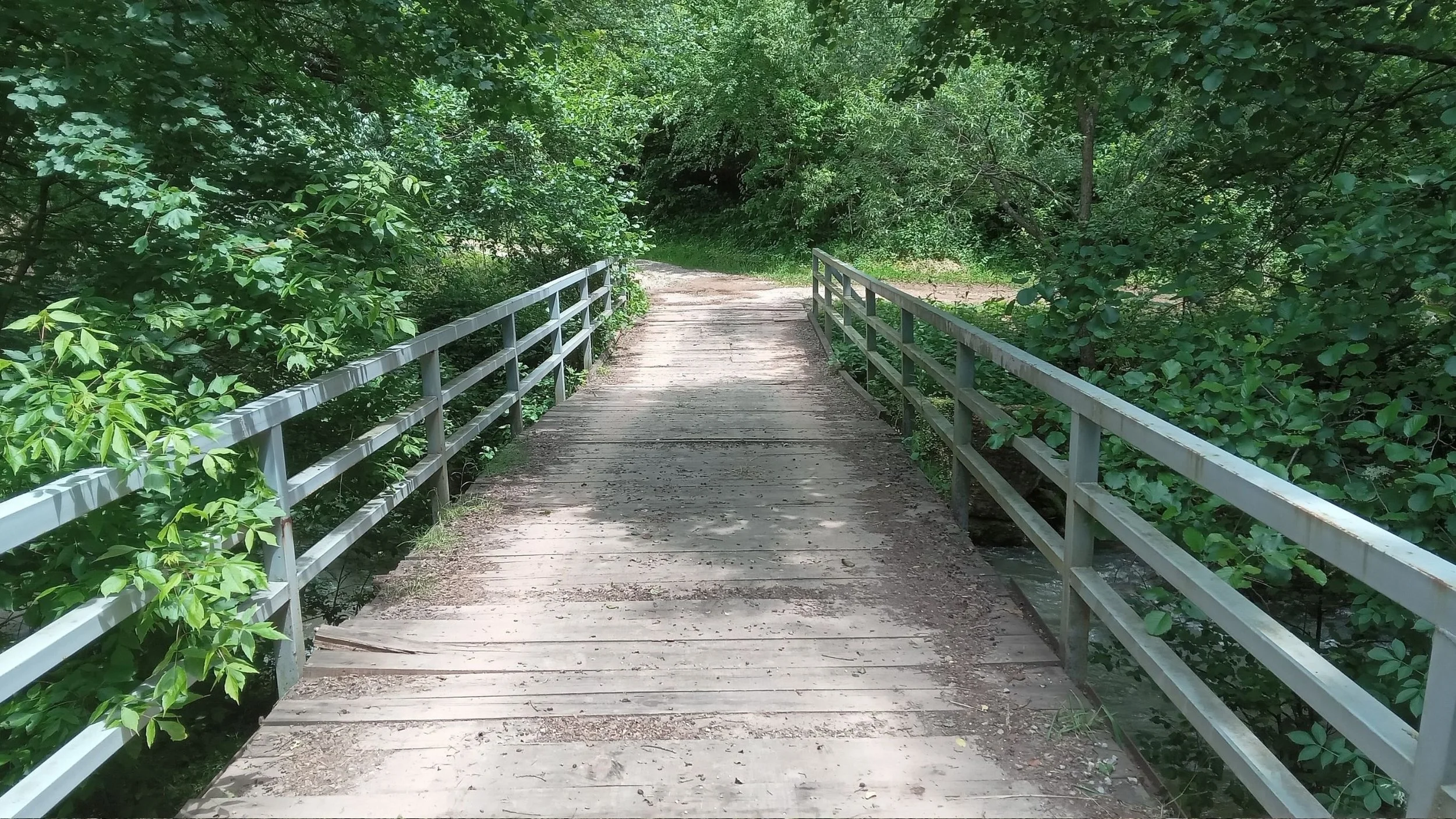 Wooden bridge with metal railings surrounded by dense green foliage in a forest setting.