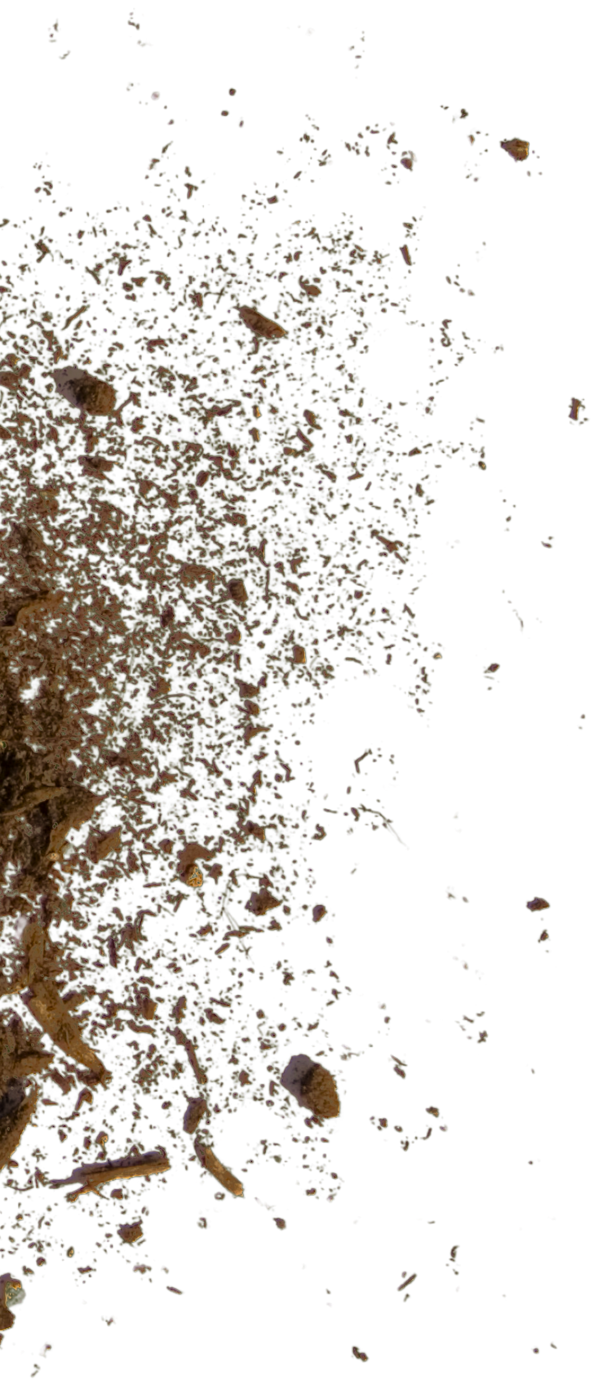 Close-up of dried spices and herbs scattered on a black background.