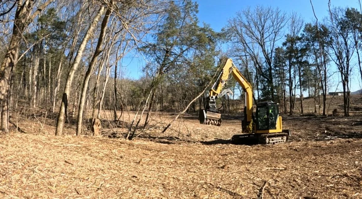 A yellow excavator clearing trees and debris in a forested area.