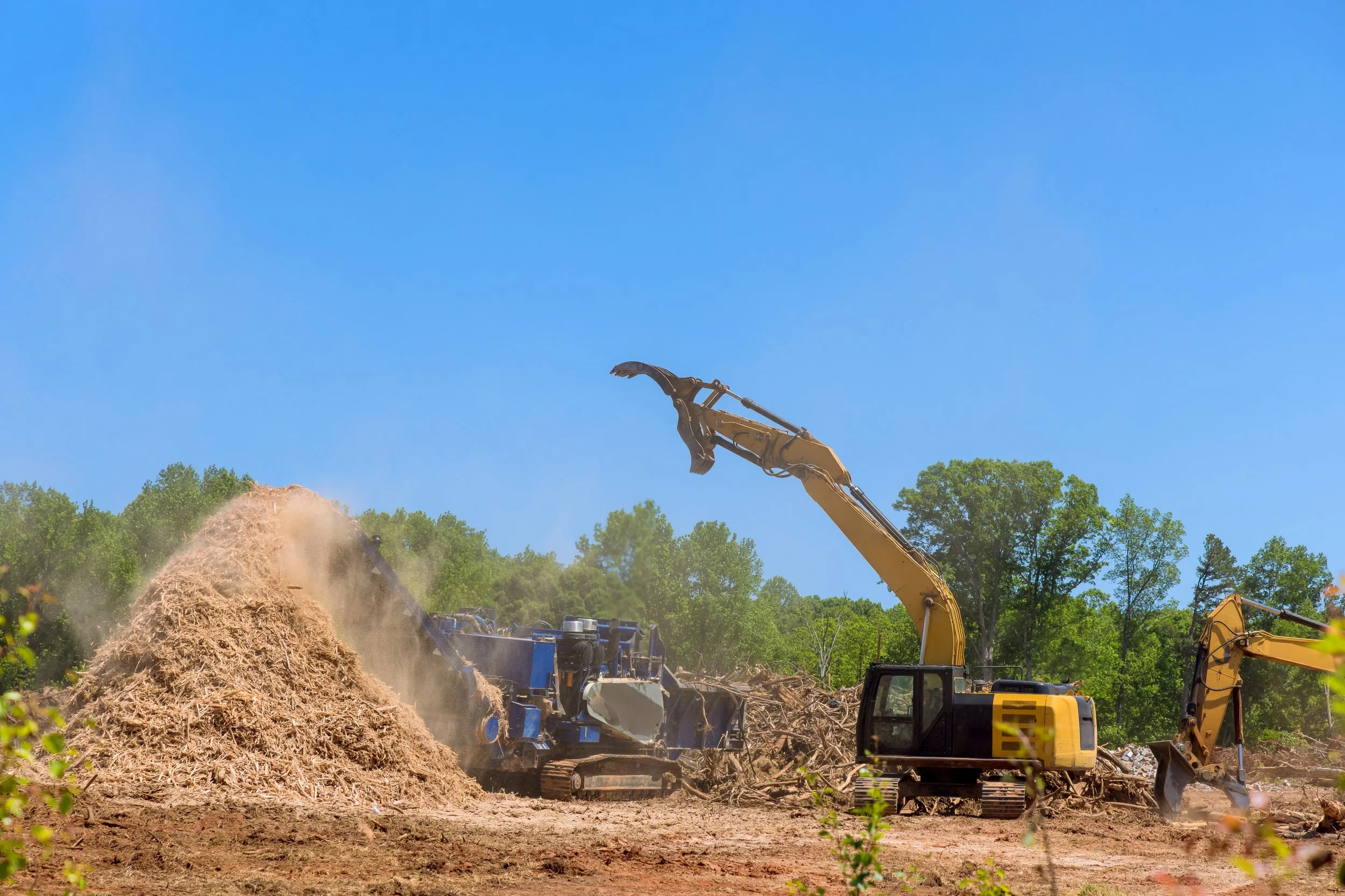 Excavators clearing a wooded area with a large pile of dirt and debris. Trees with green foliage in the background and clear blue sky.