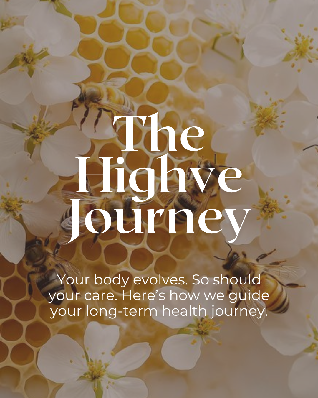 0723_HIGHVEJOURNEY_C1.png