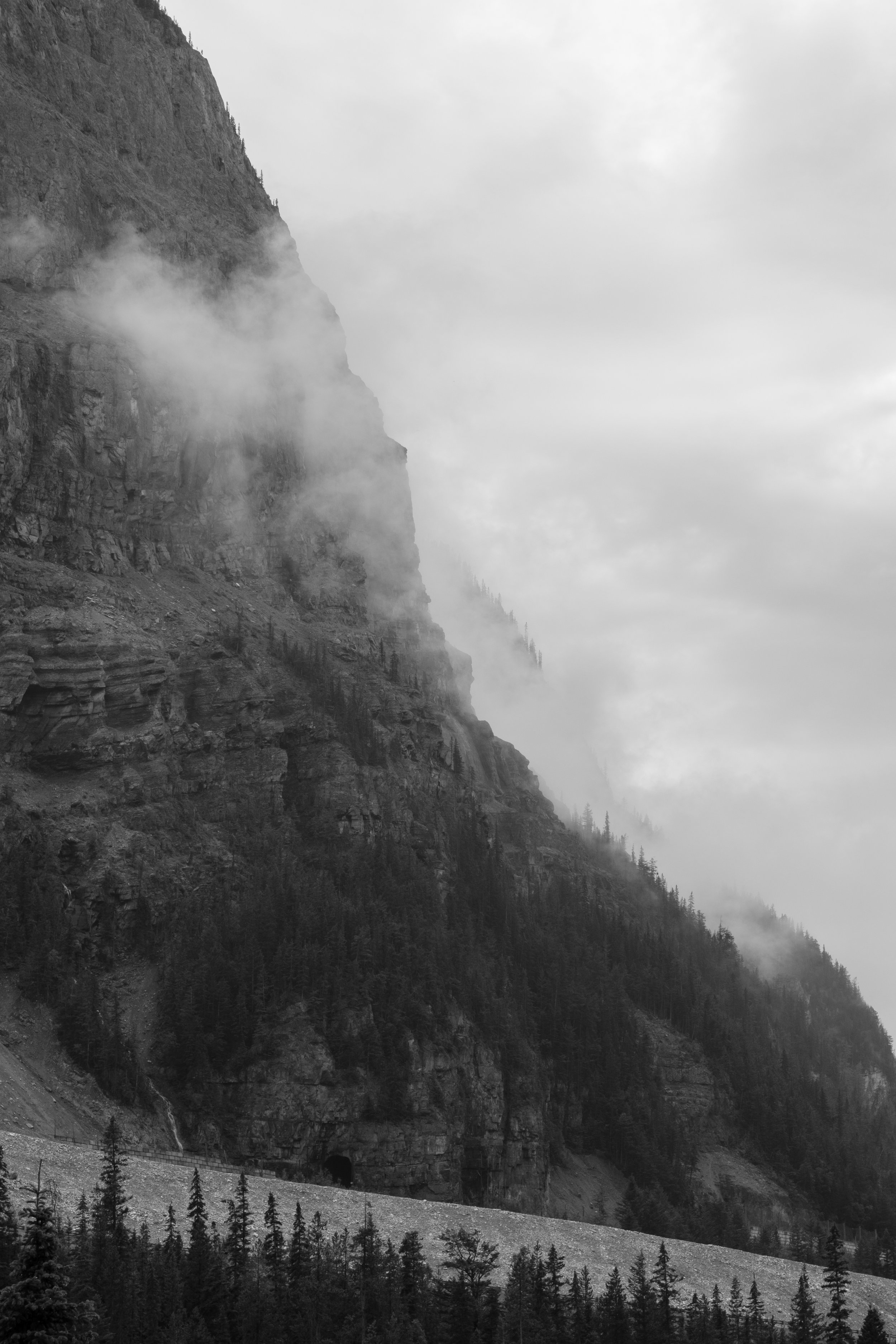 Black and white photograph of a mountain in Banff National Park with pine trees, mist, and clouds.