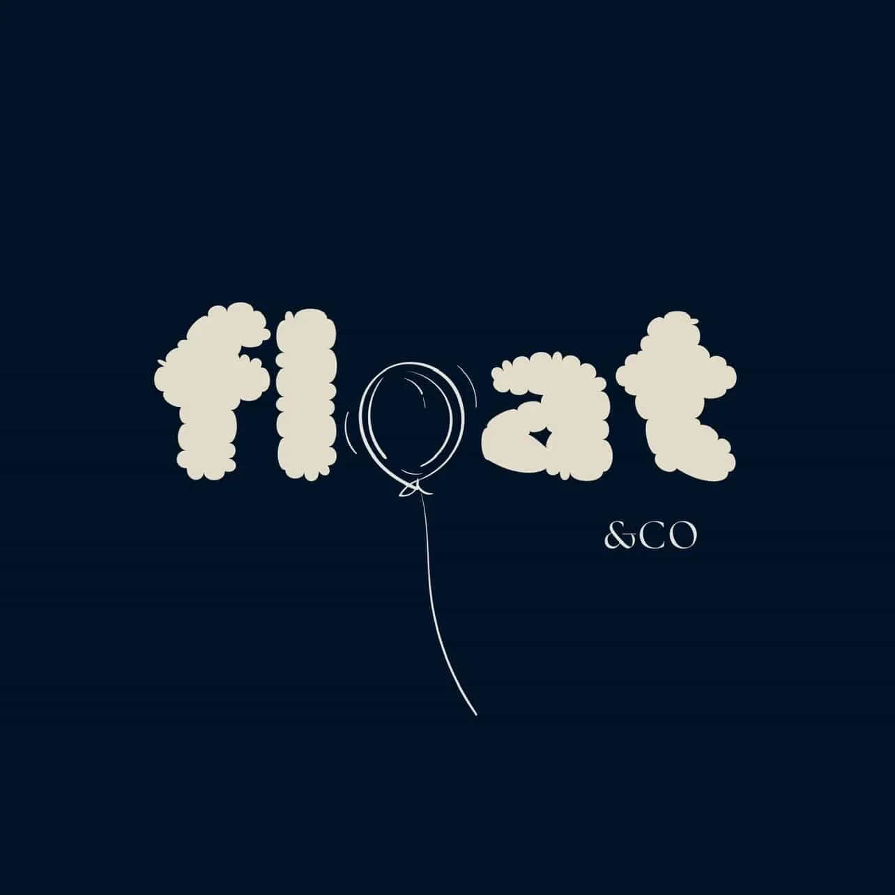 The word 'fluid' written in stylized, cloud-like font with a balloon replacing the letter 'o', and '&CO' written below in smaller font on a dark background.