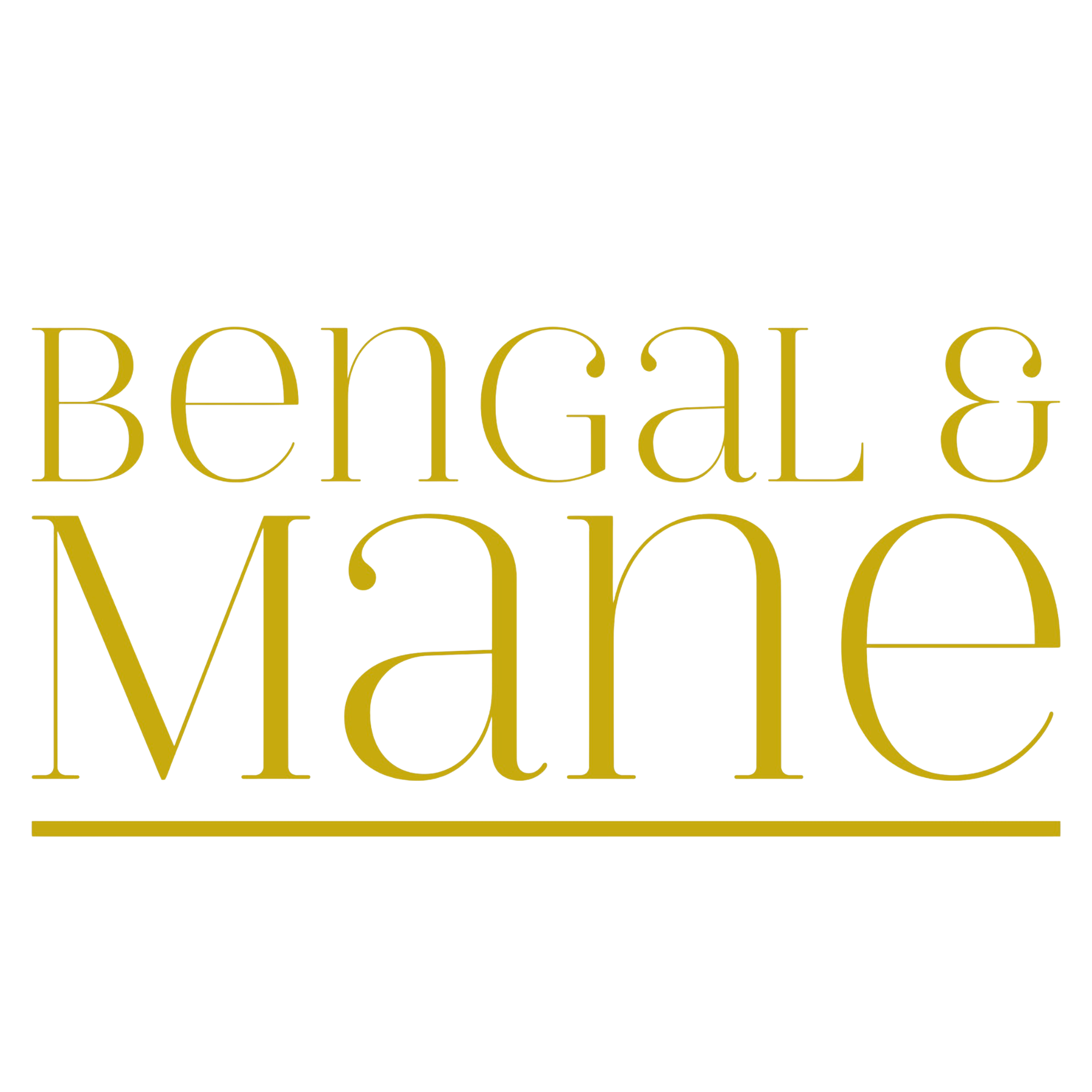 Bengal & Mane salon team in Gaylord, MI