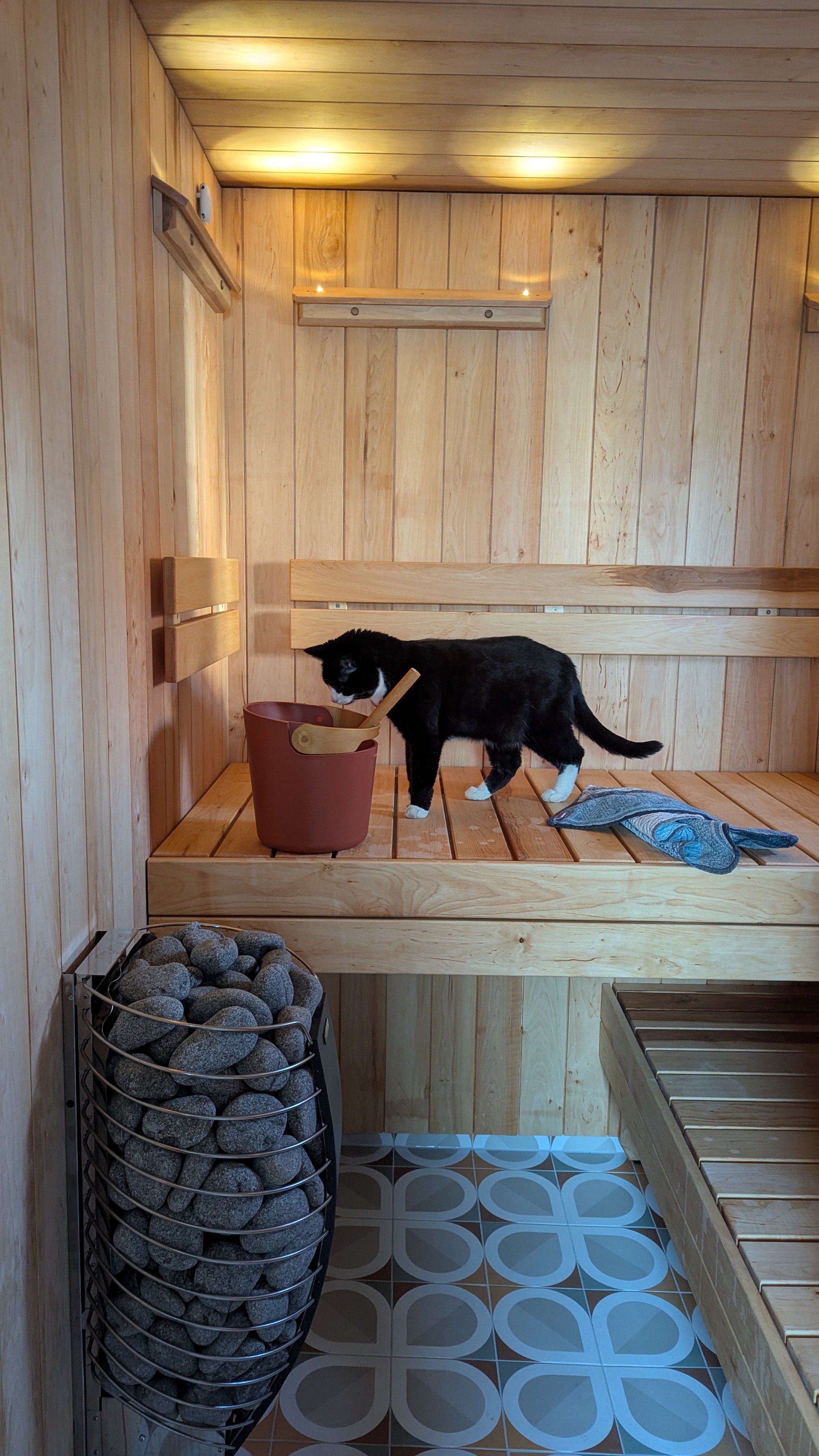 En svart og hvit katt som står i en trebadstue, med en bøtte og en skje, og det ligger en klut ved siden av katten. På gulvet er det fliser med mønster, og det er en stabel med steiner i en metallkurv.