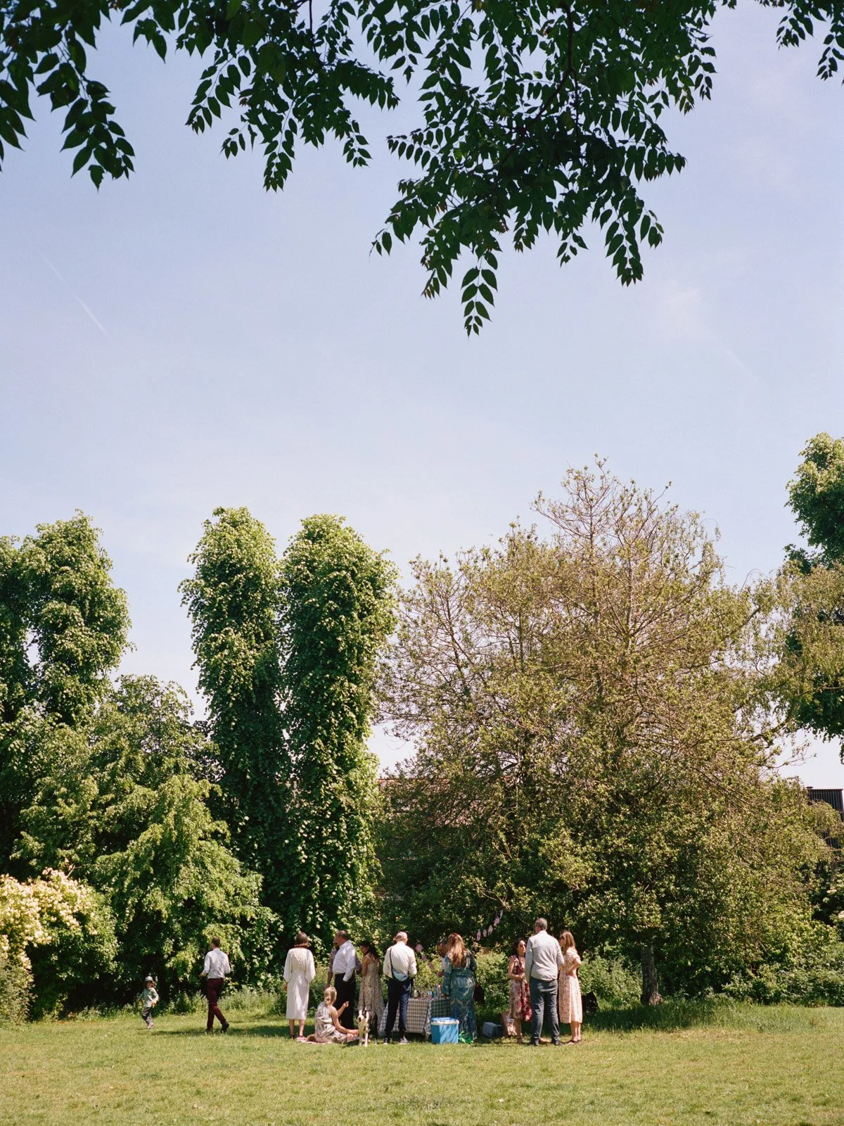 South London wedding photography on medium format film