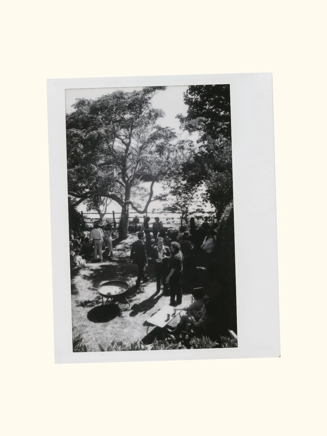 Untitled design-2.jpg