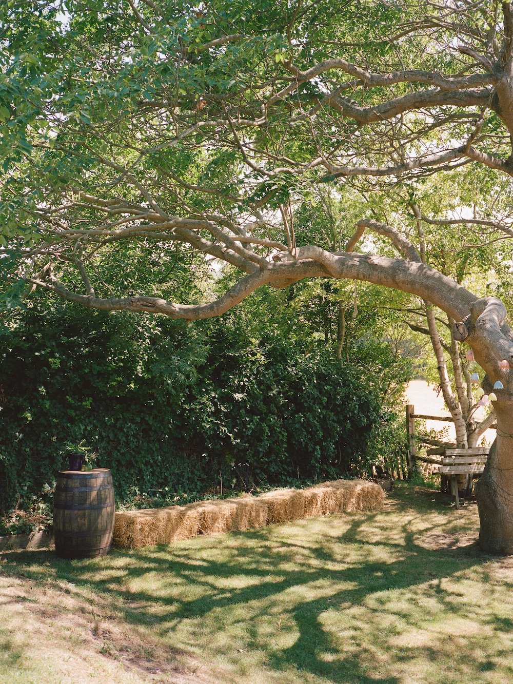 Cowboy garden wedding photography on medium format film