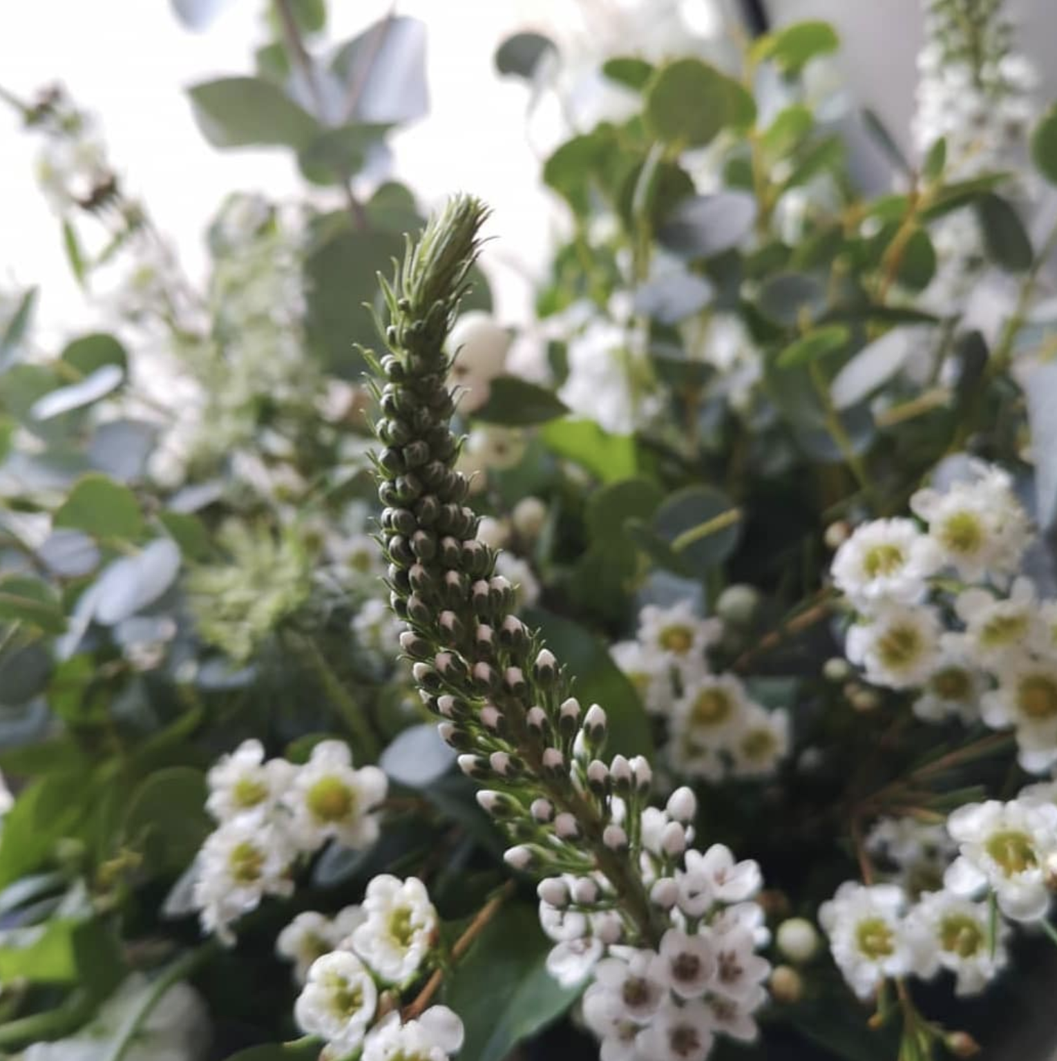 Screenshot 2026-03-08 at 20.33.53.png