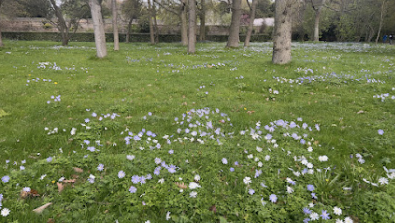 It’s April and the studio is full