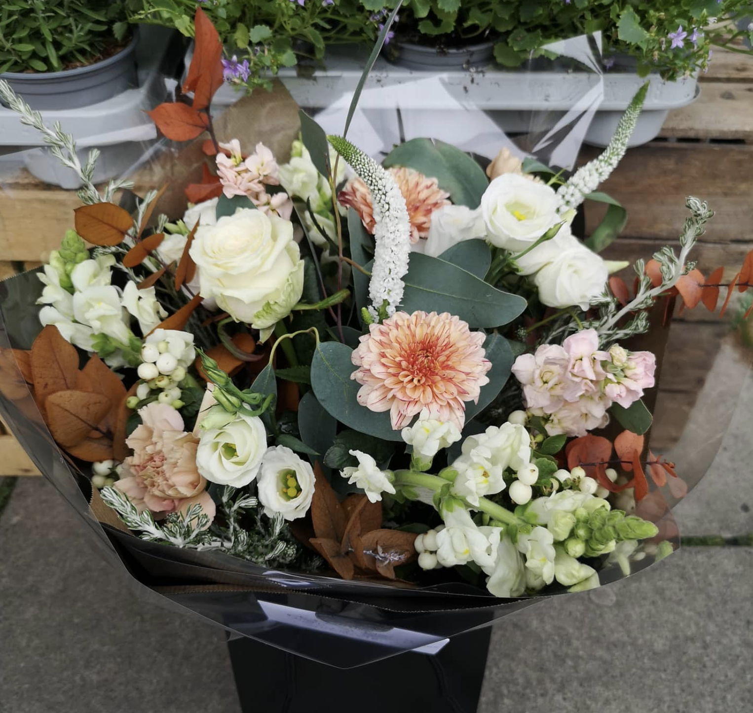 Screenshot 2026-03-08 at 20.21.01.png