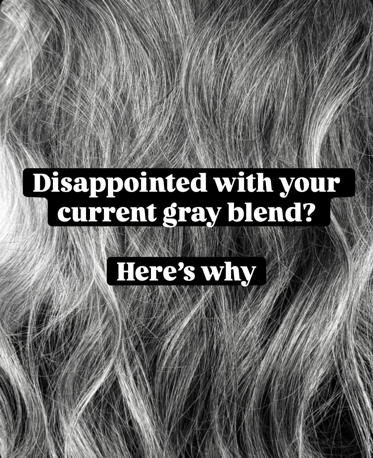 Are you happy with your current gray blend color?  I can help!

#silversisters #grayhairmovement #grombre