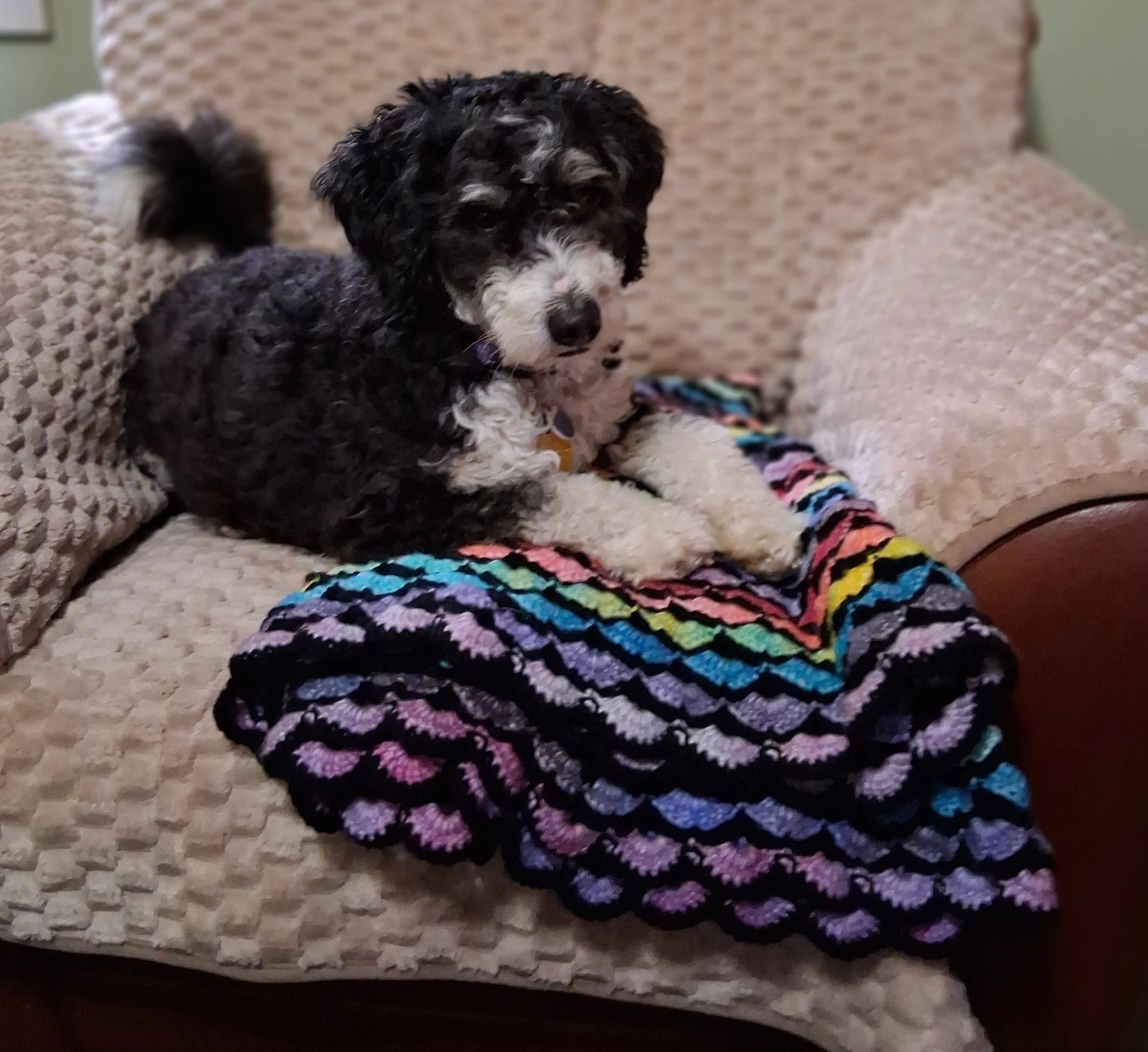 Circular Rainbow Petal Crochet Blanket