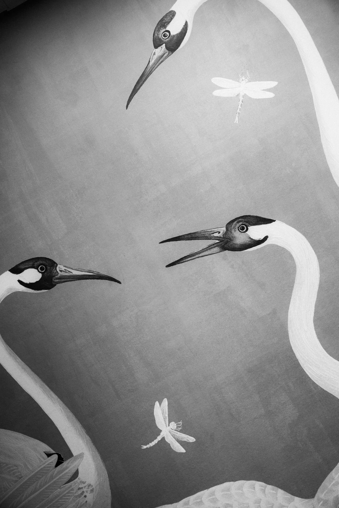 Schwarz-weiße Illustration von drei Störchen mit langen Hälsen, Fluginsekten und Pflanzen.