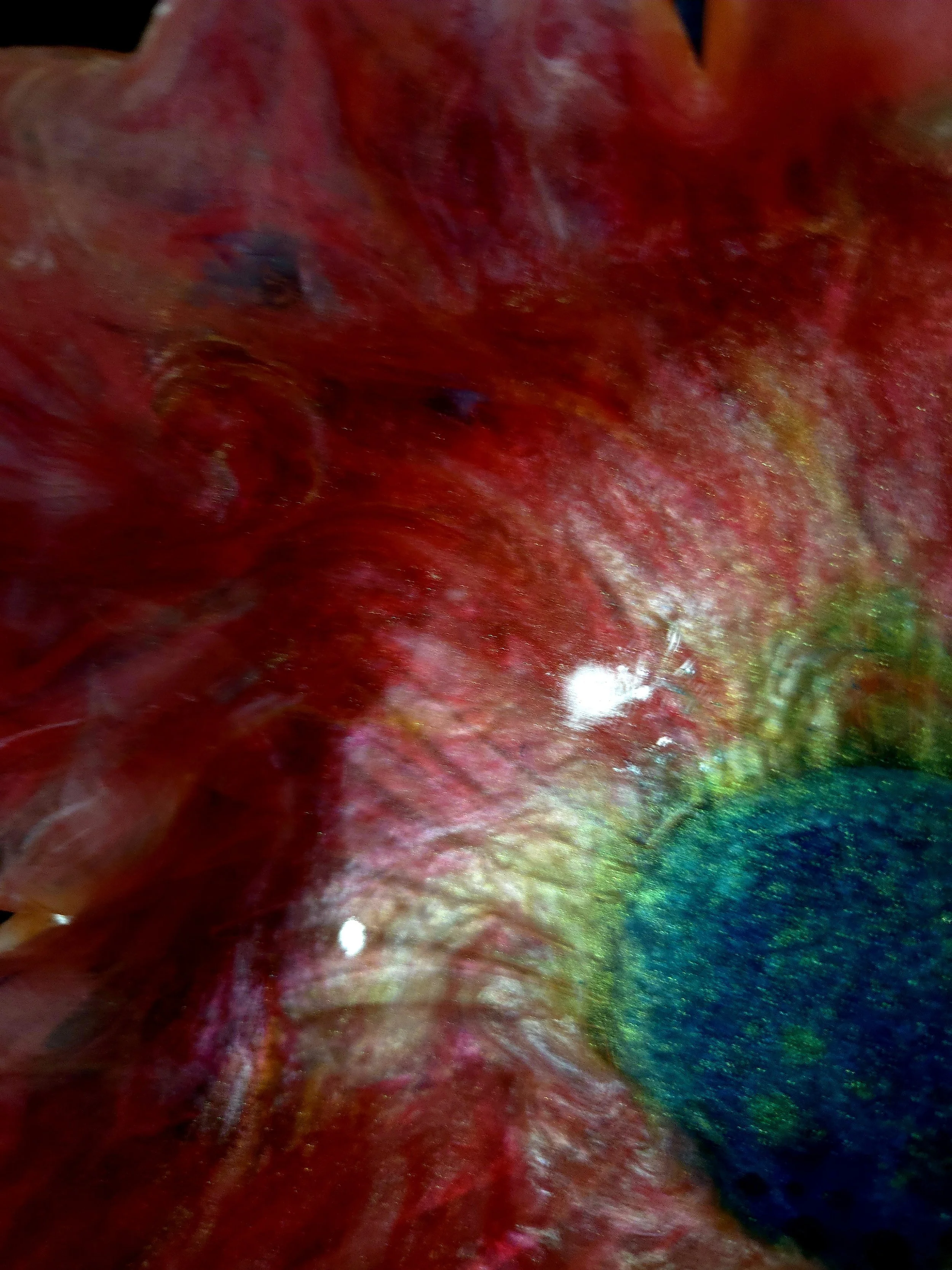 Reefheart Radiance 3of4.jpg