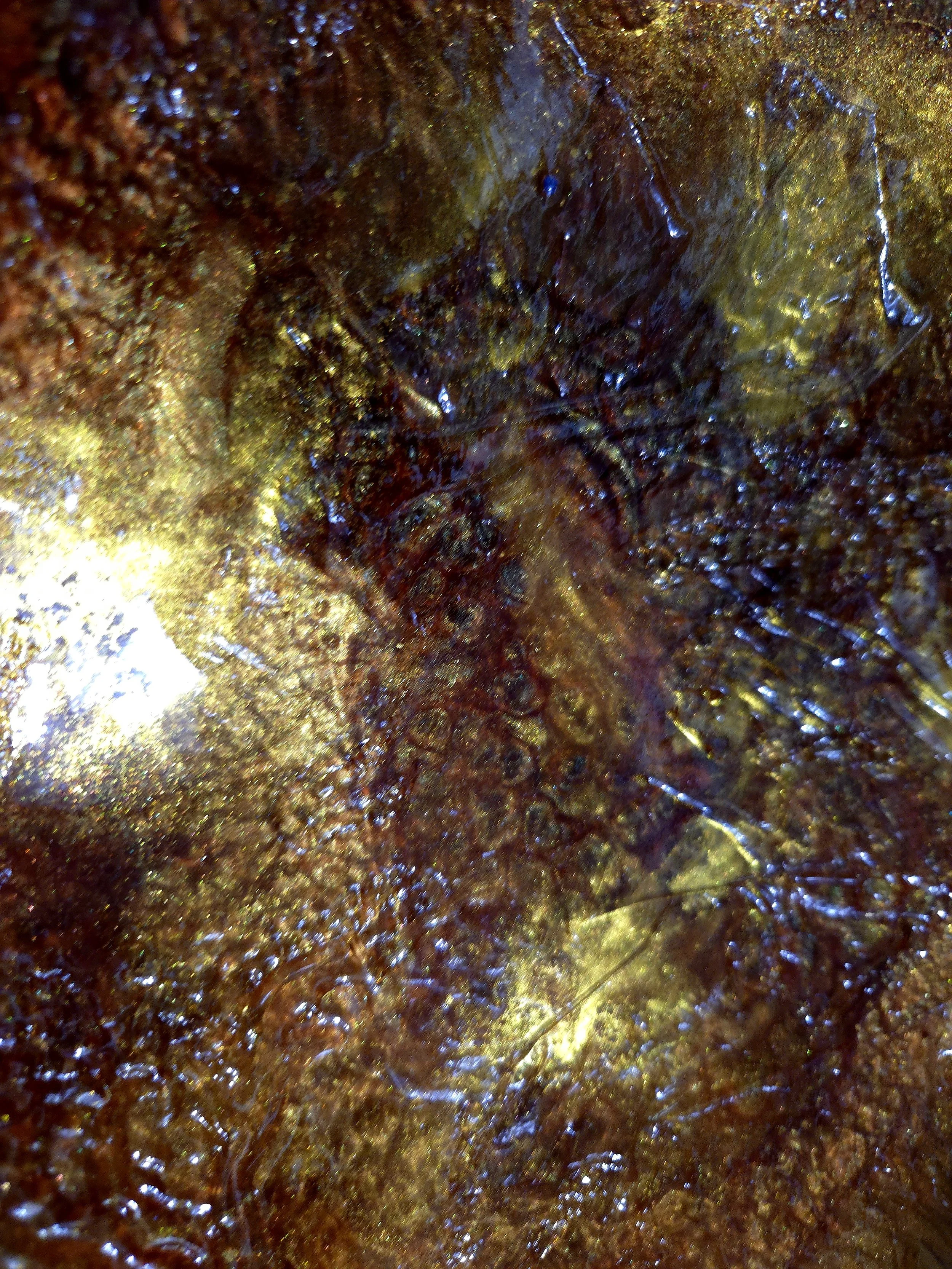 Amber Bloom Bowl 2of4.jpg
